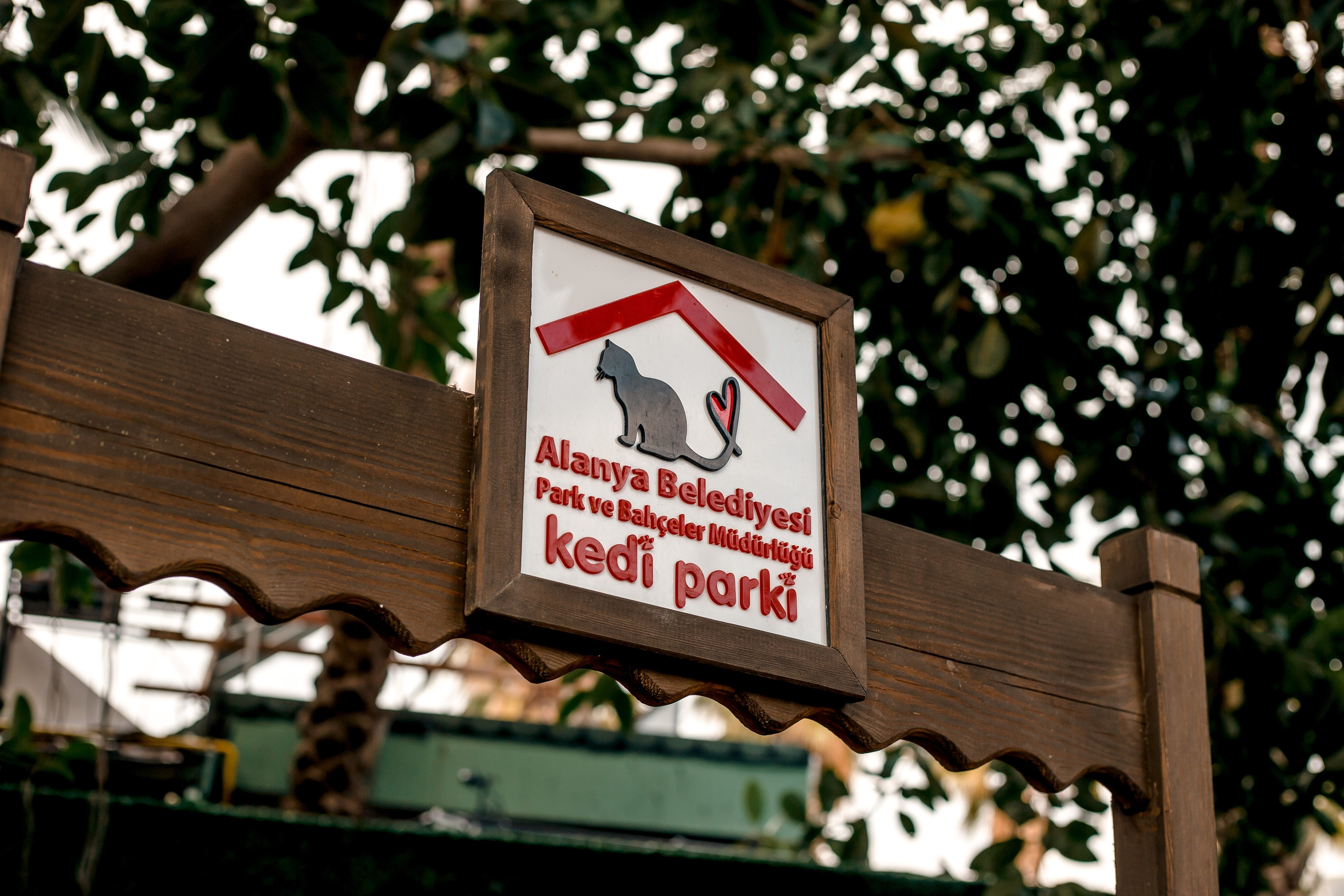 Turkey, Alanya. Art Photographer