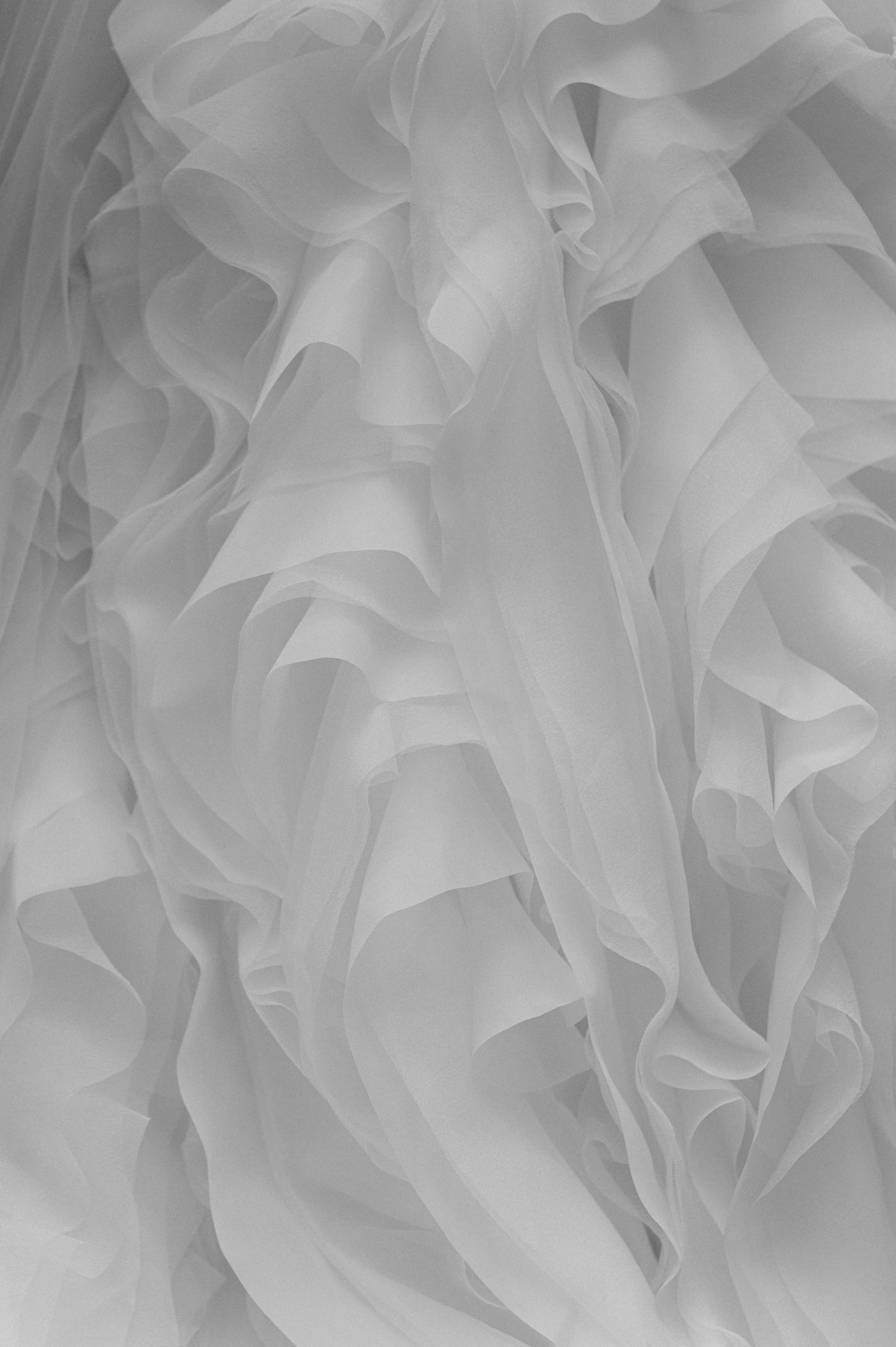 Furever Together. Свадебный фотограф в Москве Дмитрий Тарасов