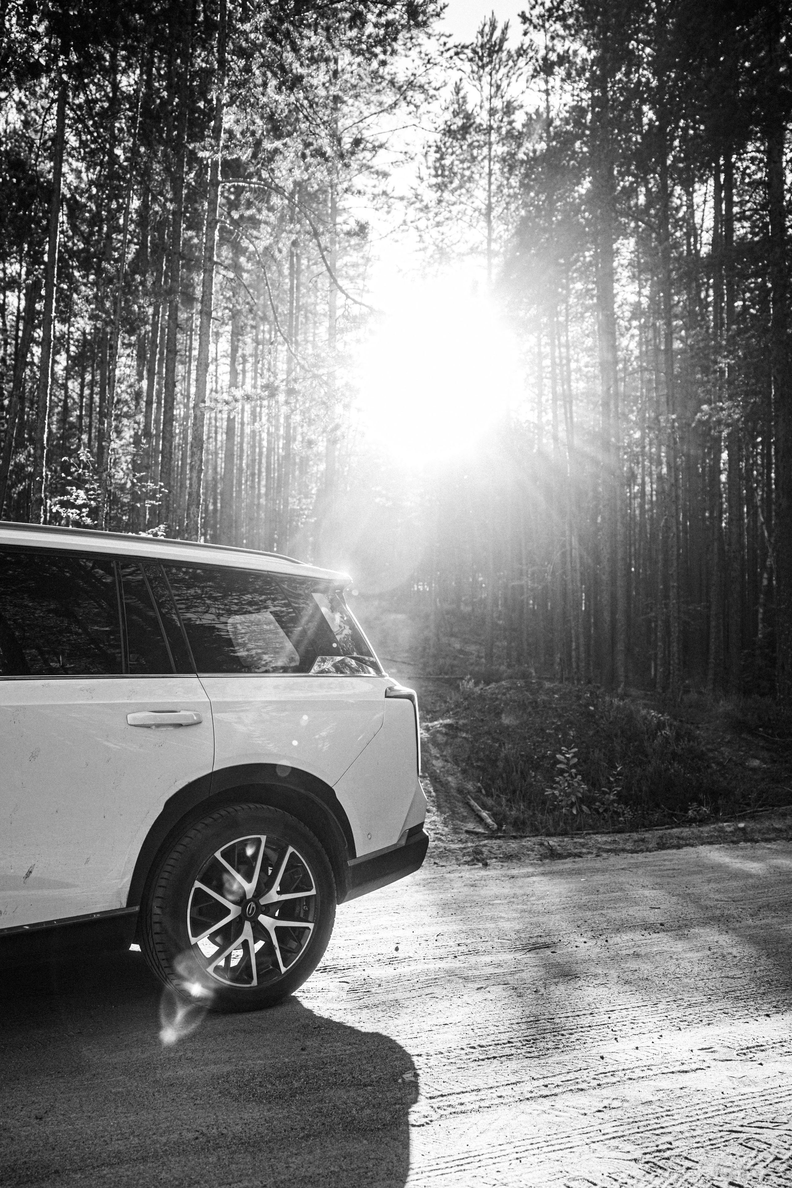 Сказка (кино) день третий. Фотограф/видеограф в Санкт-Петербурге Динара Гольдина