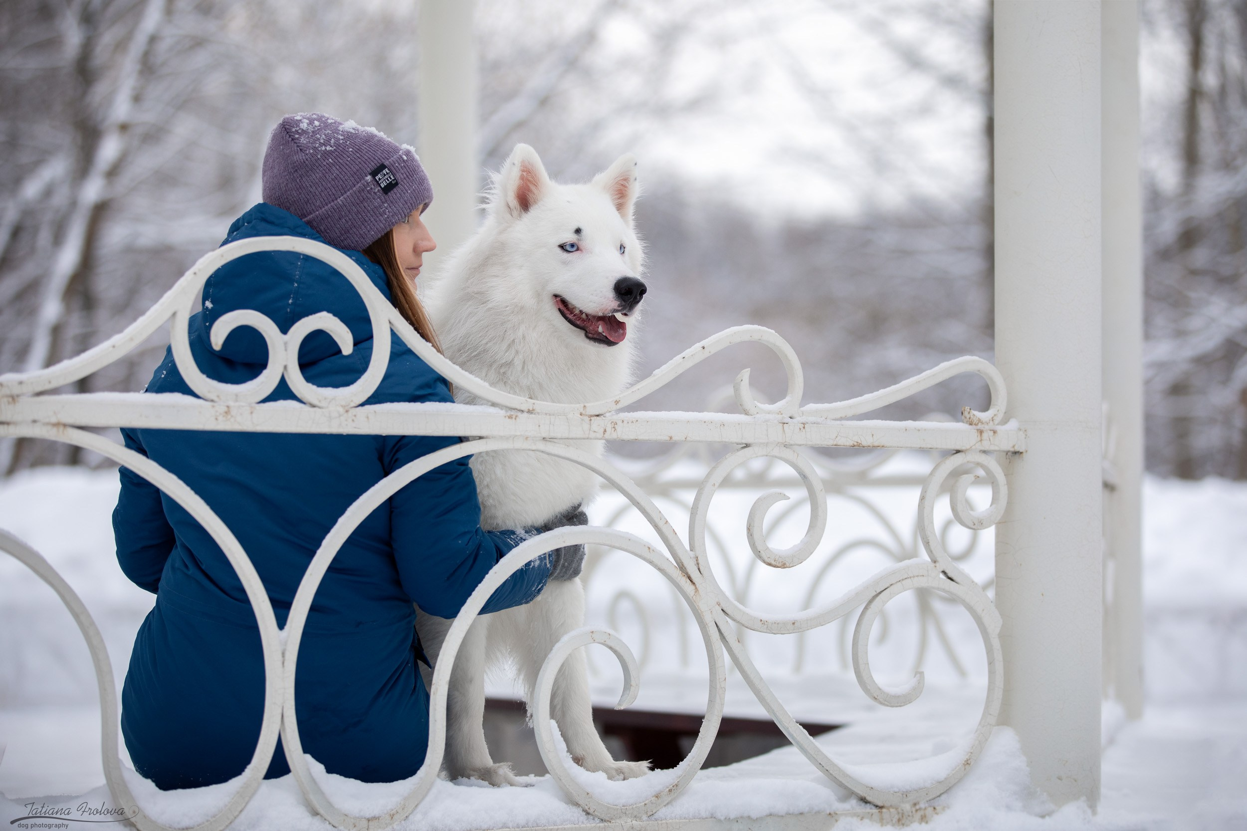 Фотопрогулка в парке Измайлово с якутской лайкой и его хозяйкой. Фотограф-анималист в Москве и Московской области Татьяна Фролова