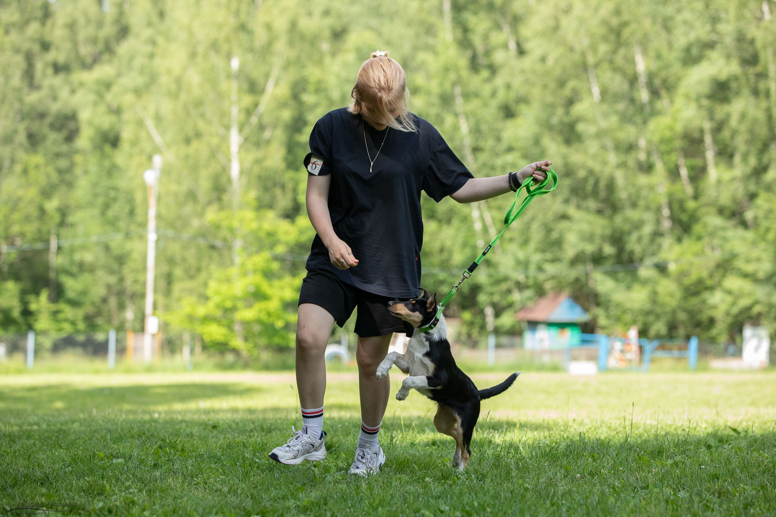 Репортаж с выводки молодняка колли/шелти в Ясенево. Фотограф-анималист в Москве и Московской области Татьяна Фролова
