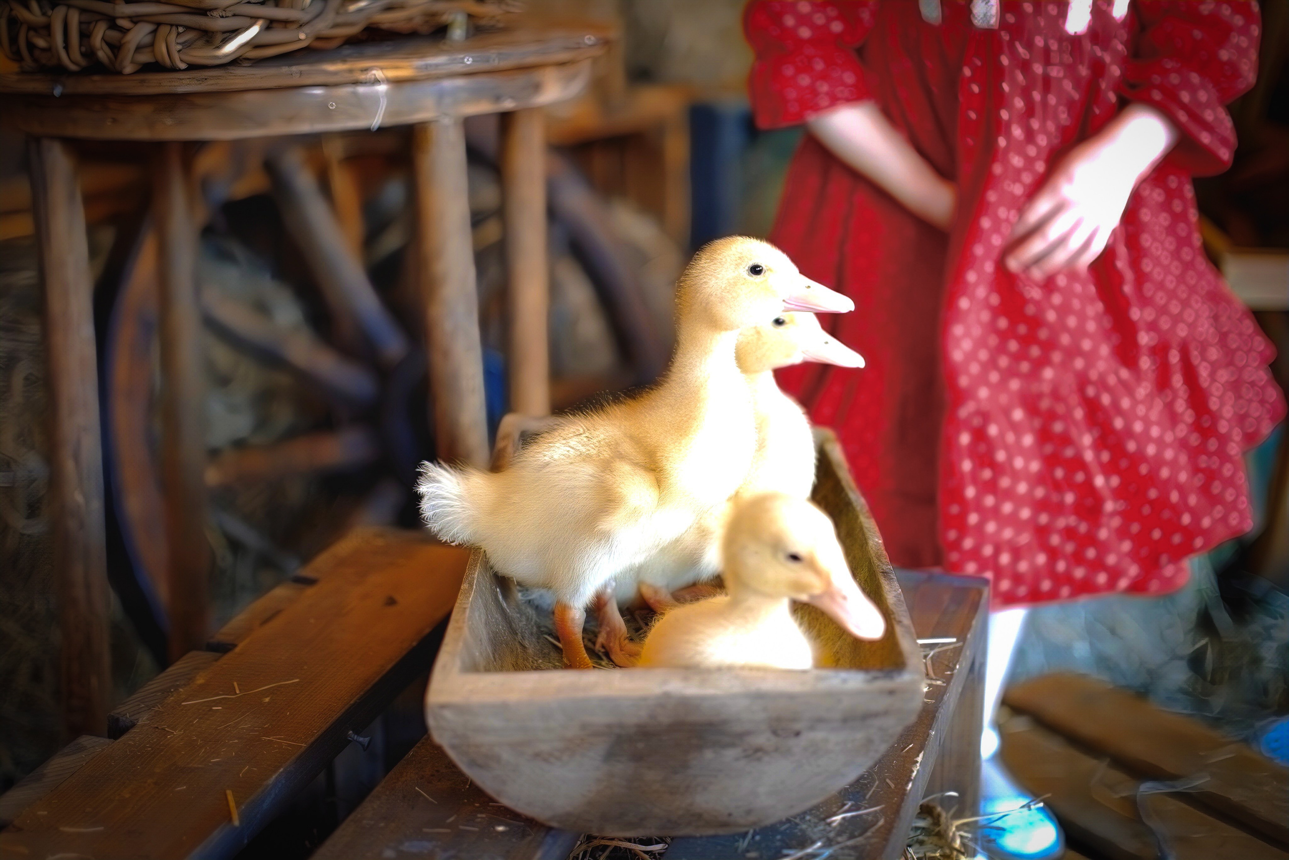Анечка. Семейный и детский фотограф Москва