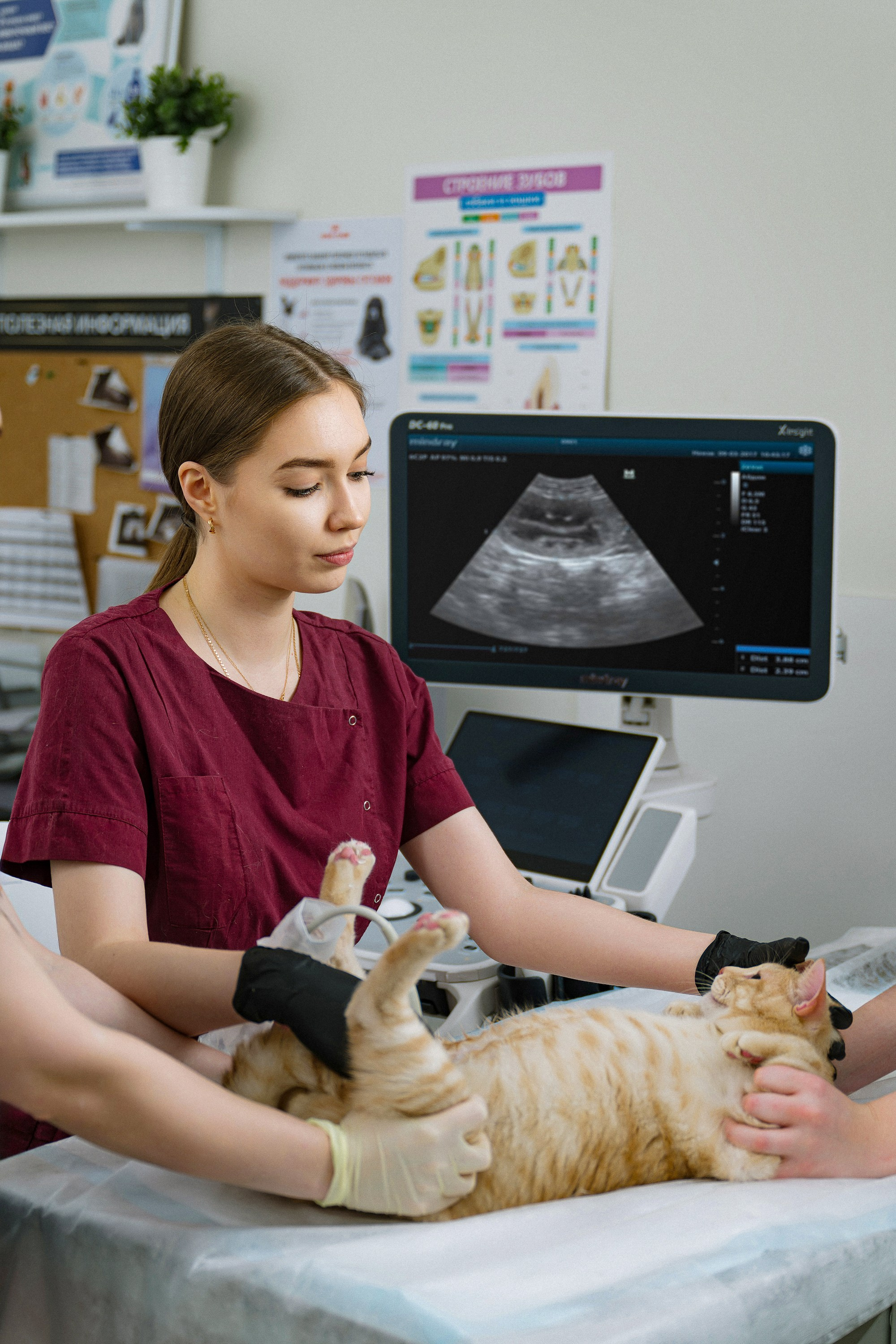 Бизнес. Свадебный и портретный фотограф в Москве Сергей Бузин