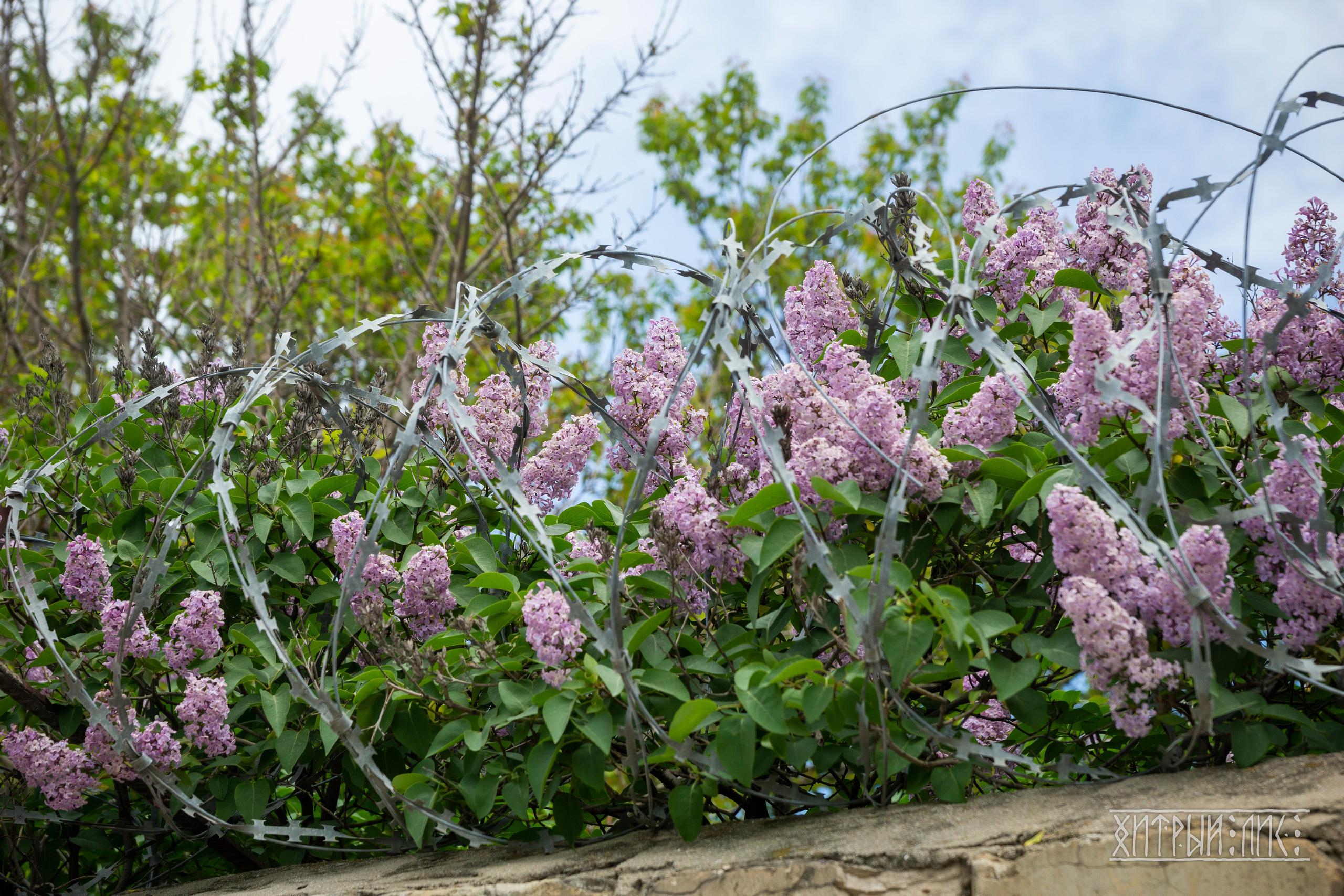 Дагестан. Фотограф-путешественник Самойлов Максим «Sly Fox»