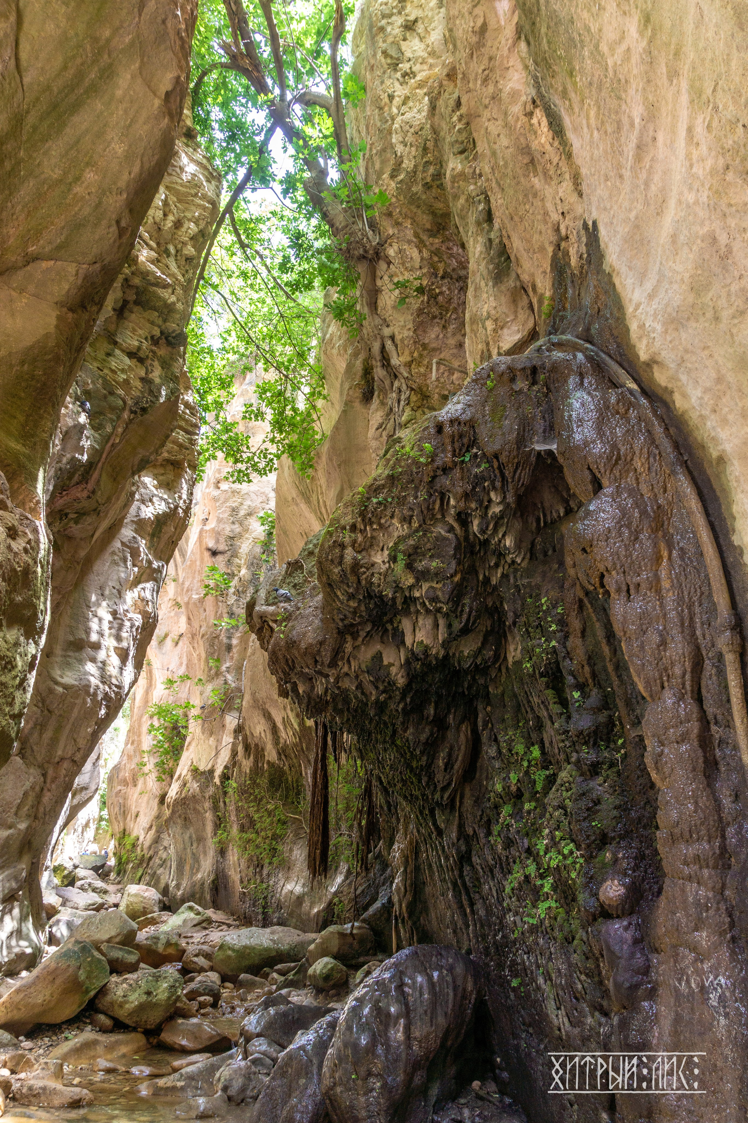 Кипр. Фотограф-путешественник Самойлов Максим «Sly Fox»