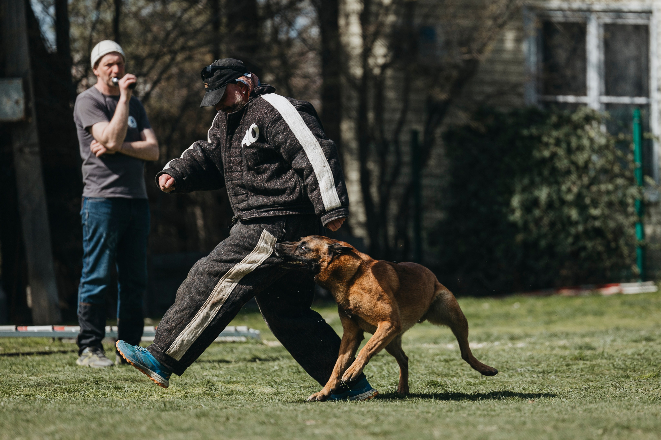 Геленджик Мондьоринг. Фотограф-анималист Анна Маринич