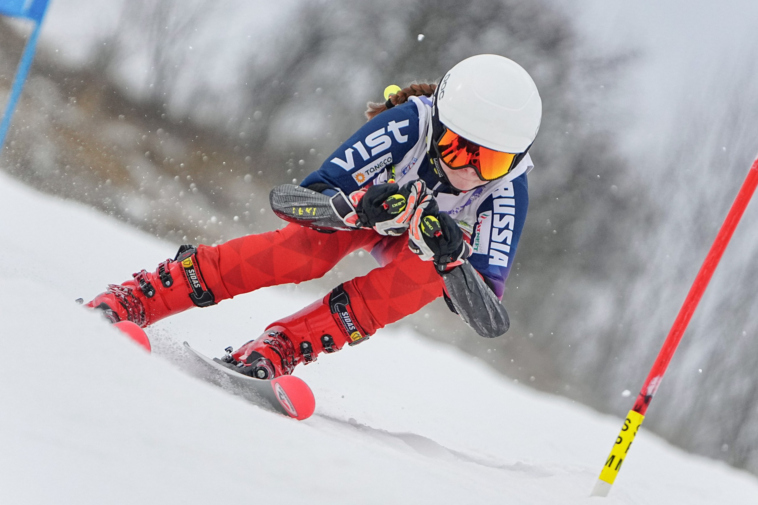 Горные лыжи. Первенство МО, GS U14, U16. Фотограф Студитский Евгений