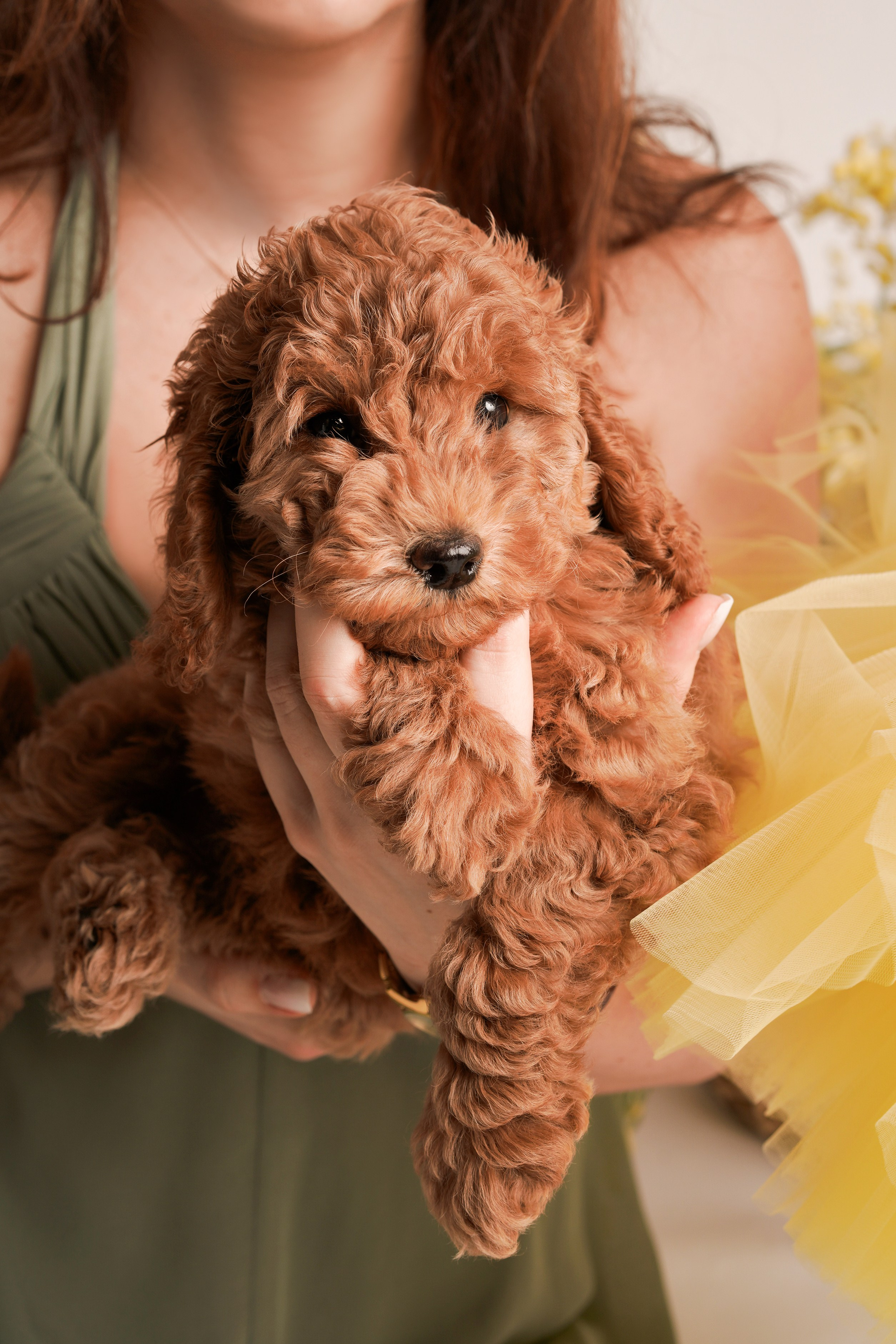 ФОТОСЕССИЯ в мимозе для мамы с дочкой. Фотограф новорожденных беременных в Тюмени Ткачук Татьяна