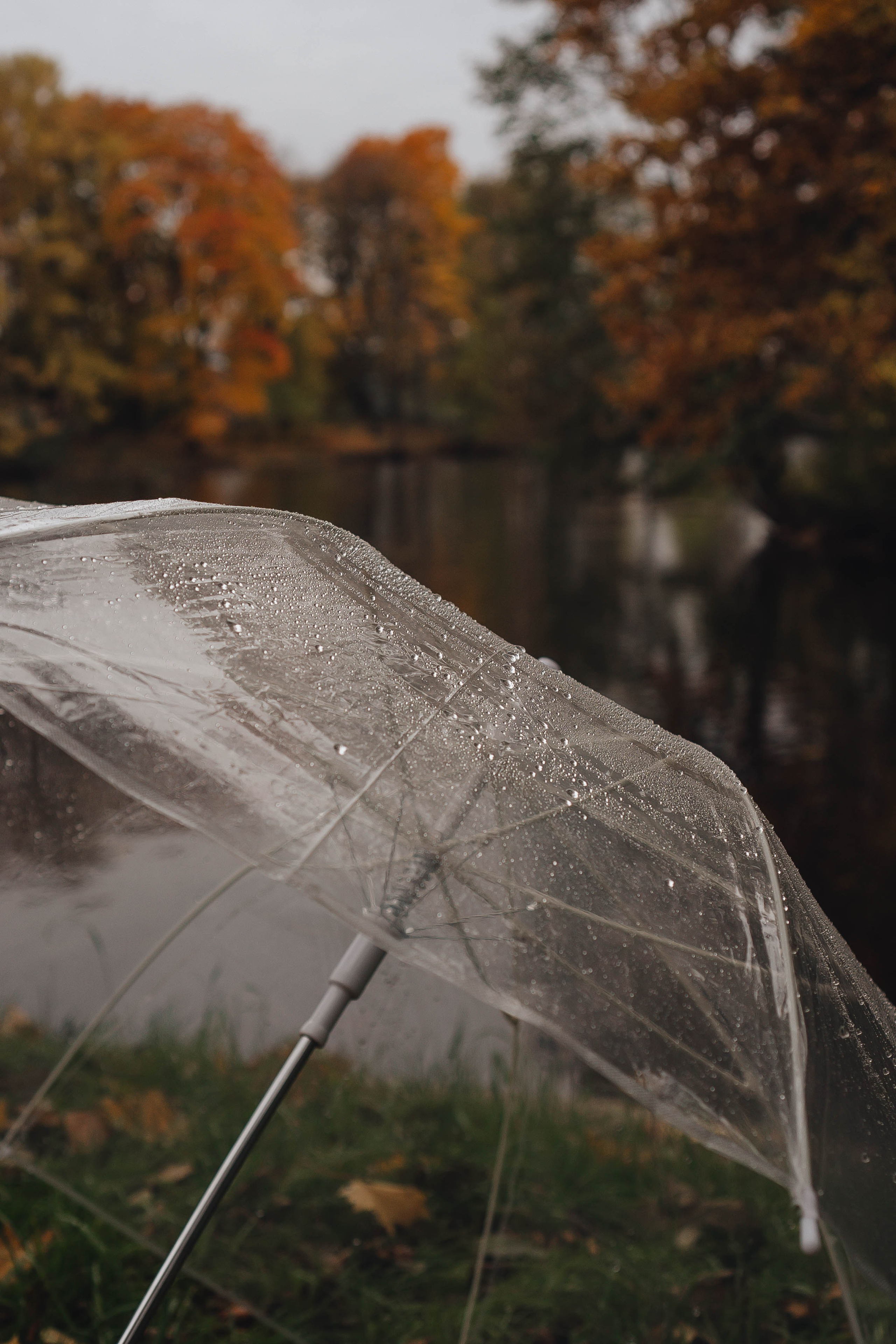 Осень. Профессиональный фотограф, Санкт-Петербург — Виктория Богомолова