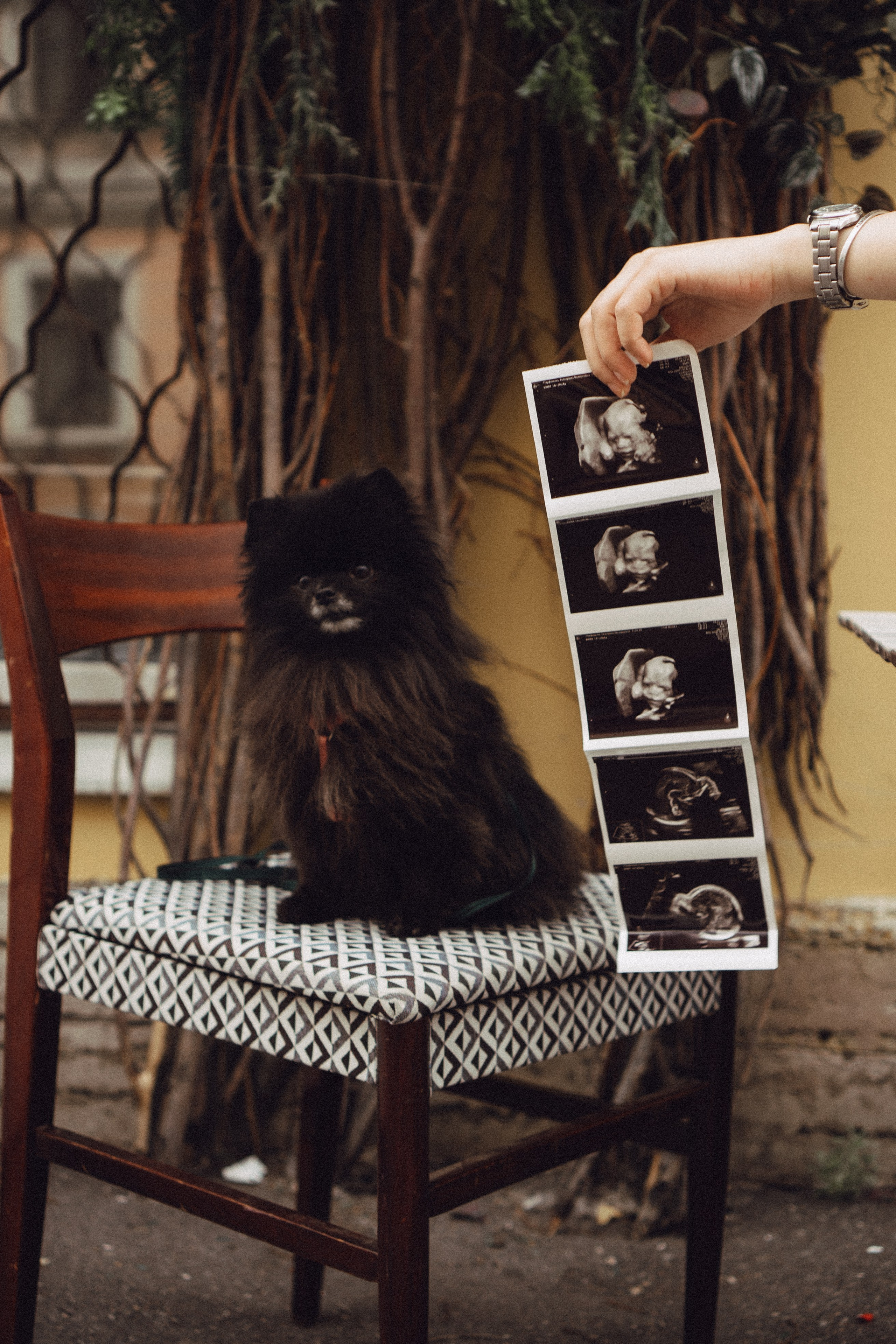 Беременность (только часть фото по желанию клиентов могу показать)). Профессиональный фотограф, Санкт-Петербург — Виктория Богомолова