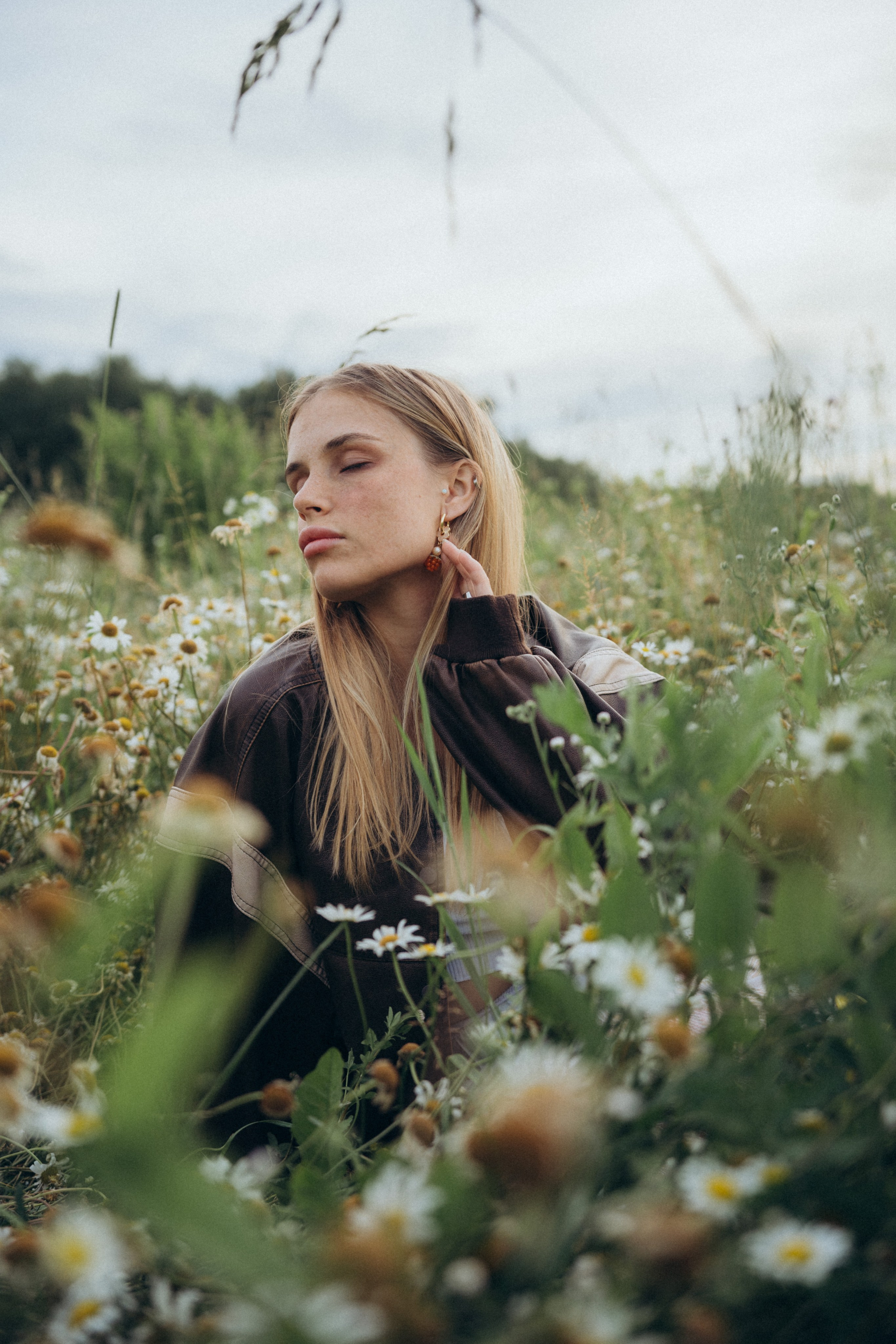 Ромашки. Фотограф Москва