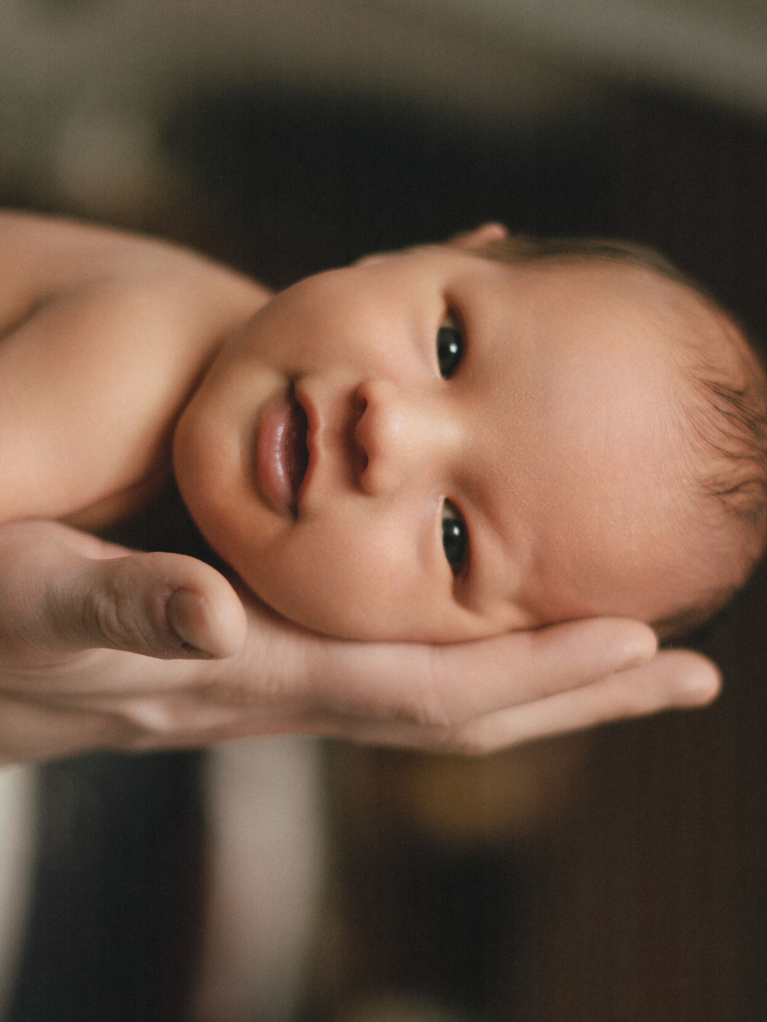 Мироша. SHILOVA PHOTO. Шилова Екатерина. Фотограф. Москва