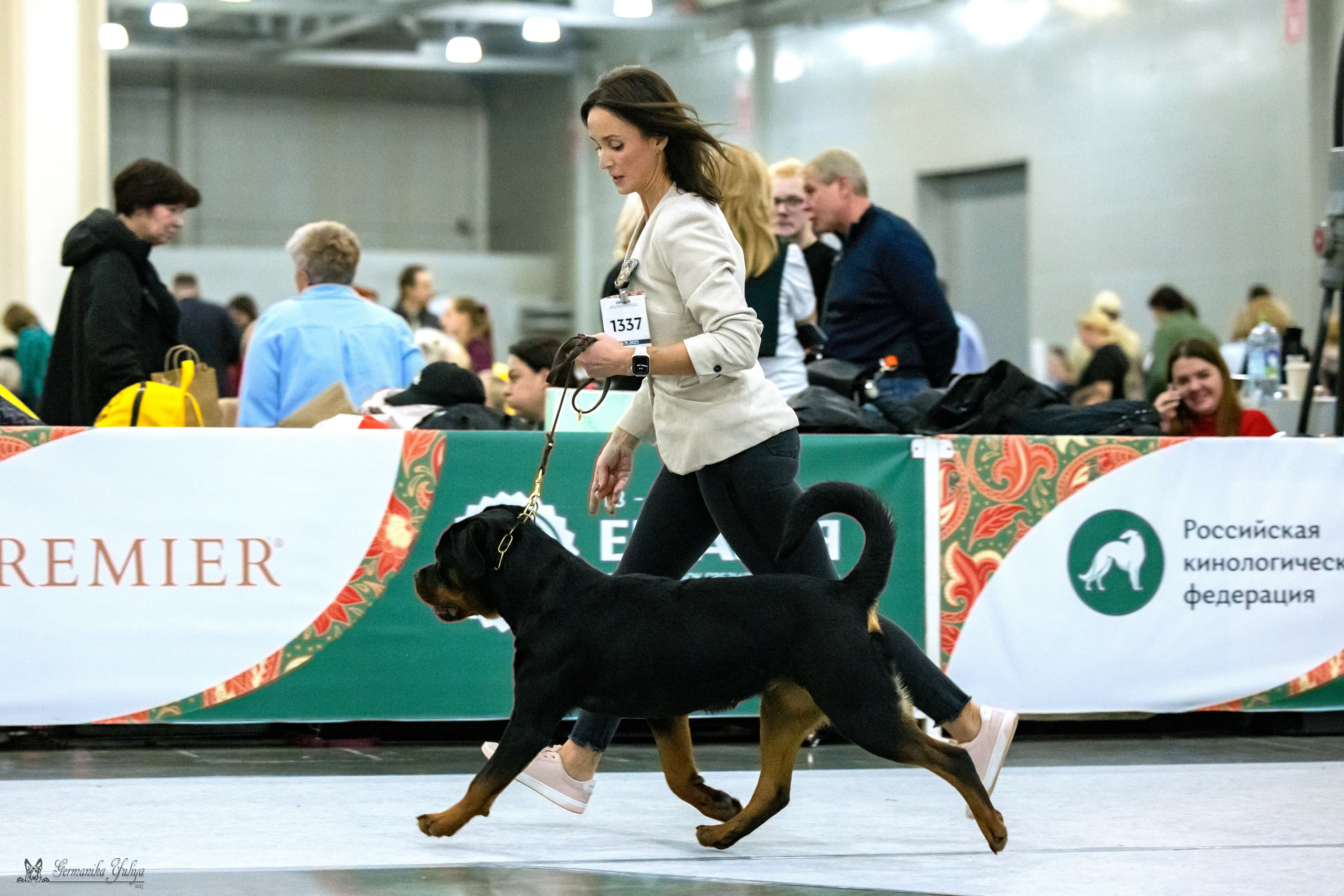 ЕВРАЗИЯ 18-19.11.2023. Фотограф-анималист Юлия Германика