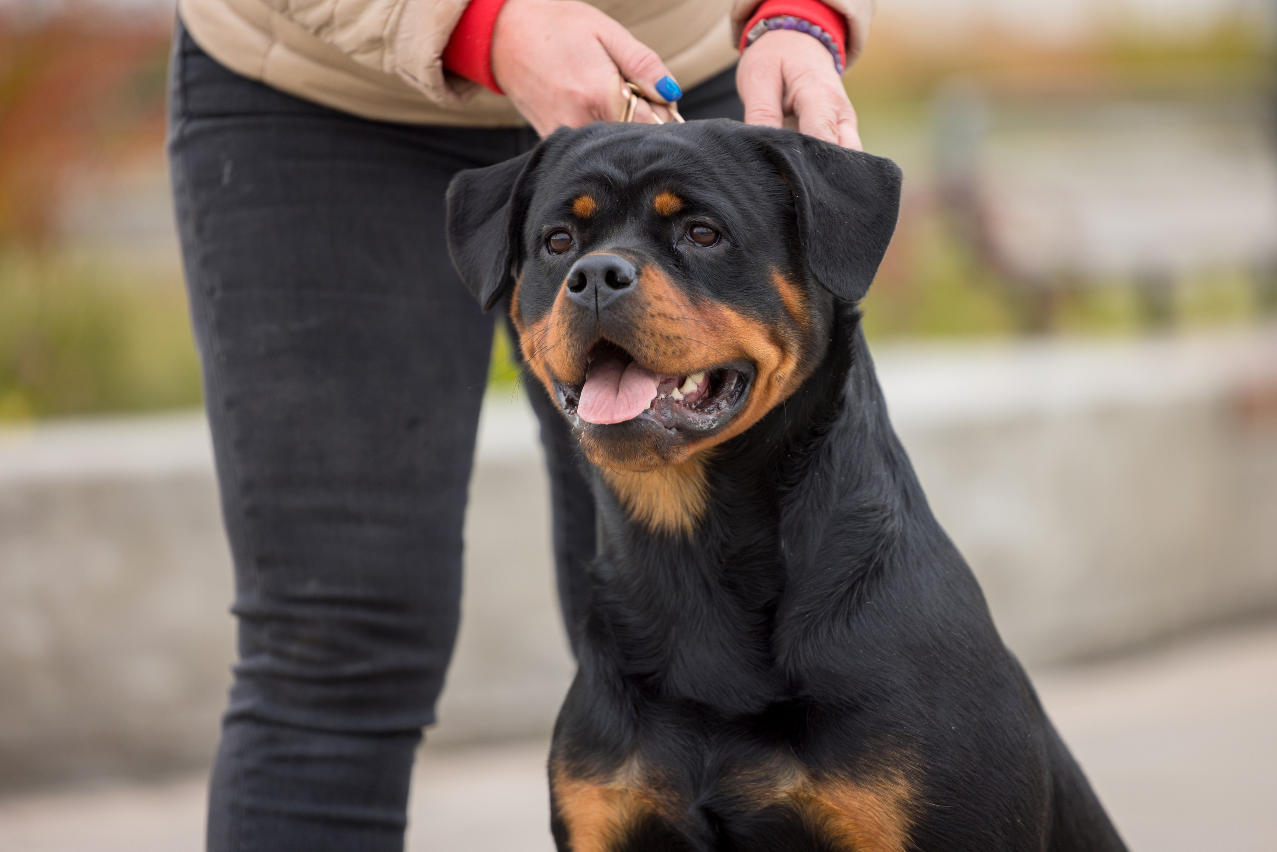 Нижний Новгород 21-22.10.2023. Фотограф-анималист Юлия Германика