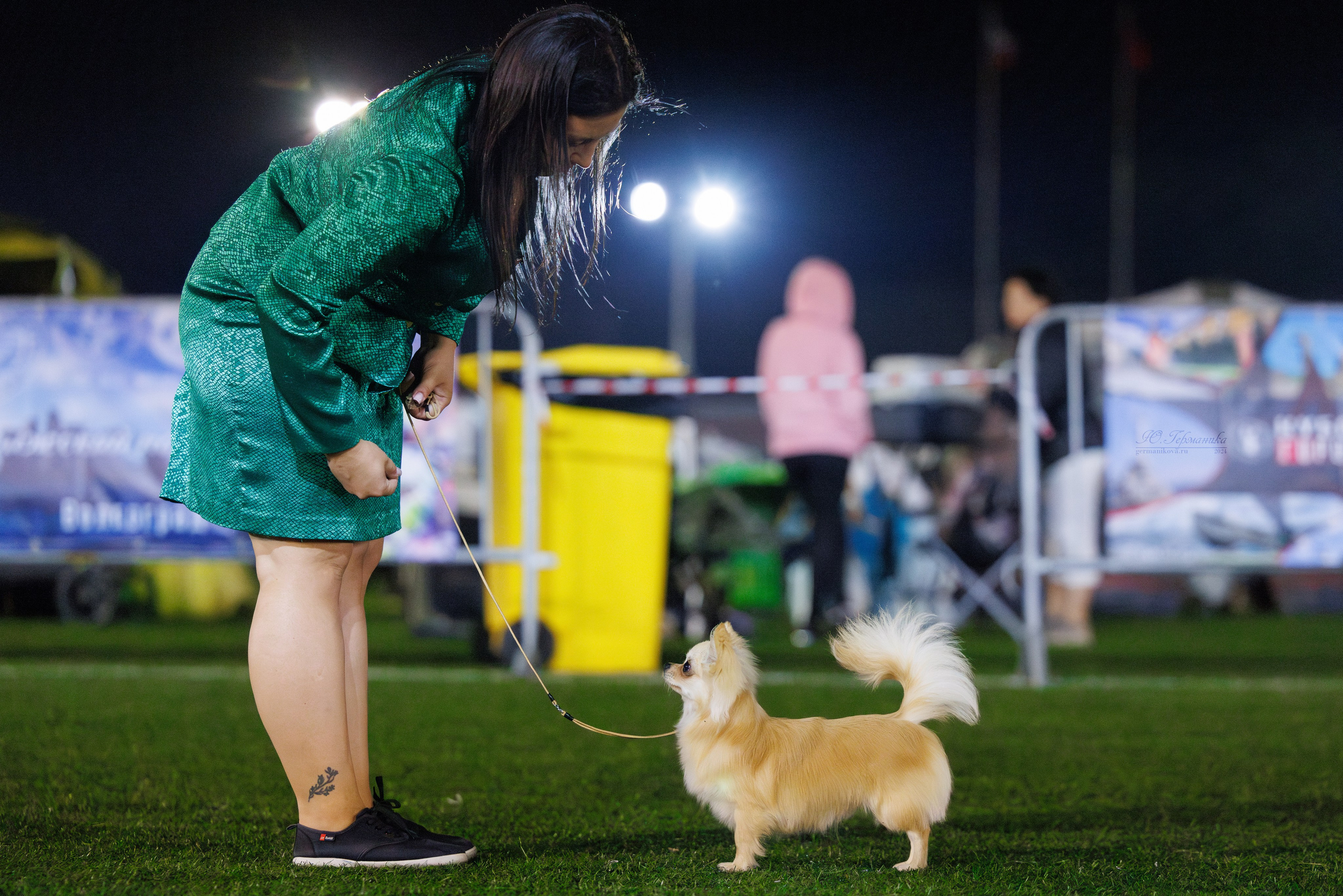 Волгоград 2-4.08.2024. Фотограф-анималист Юлия Германика