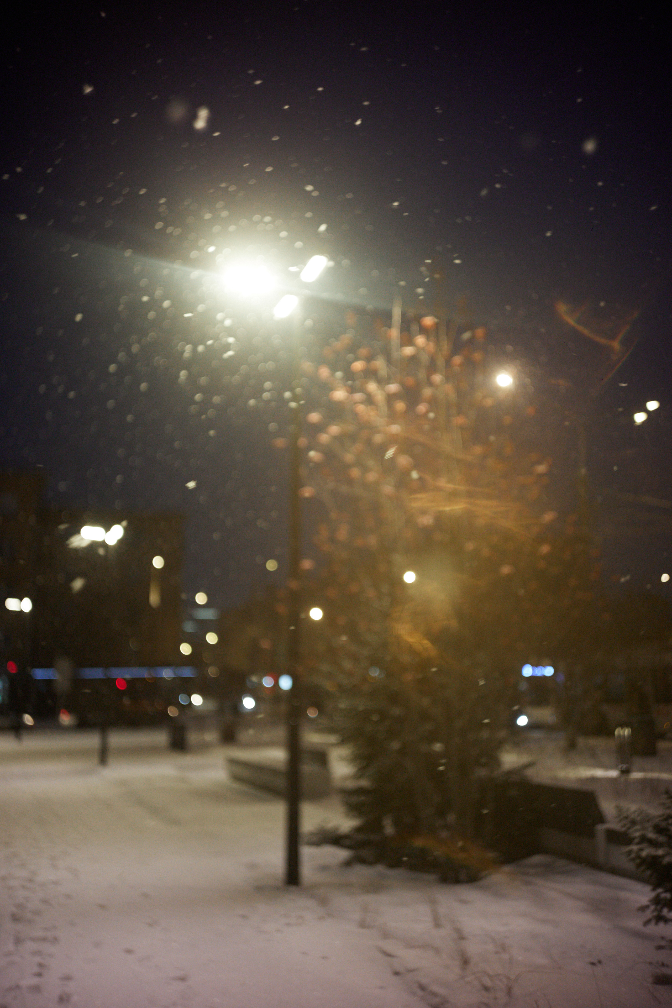 Прогулка «Близорукого». Коммерческий автор с характером — Павел Парамонов | Фотограф, Красноярск