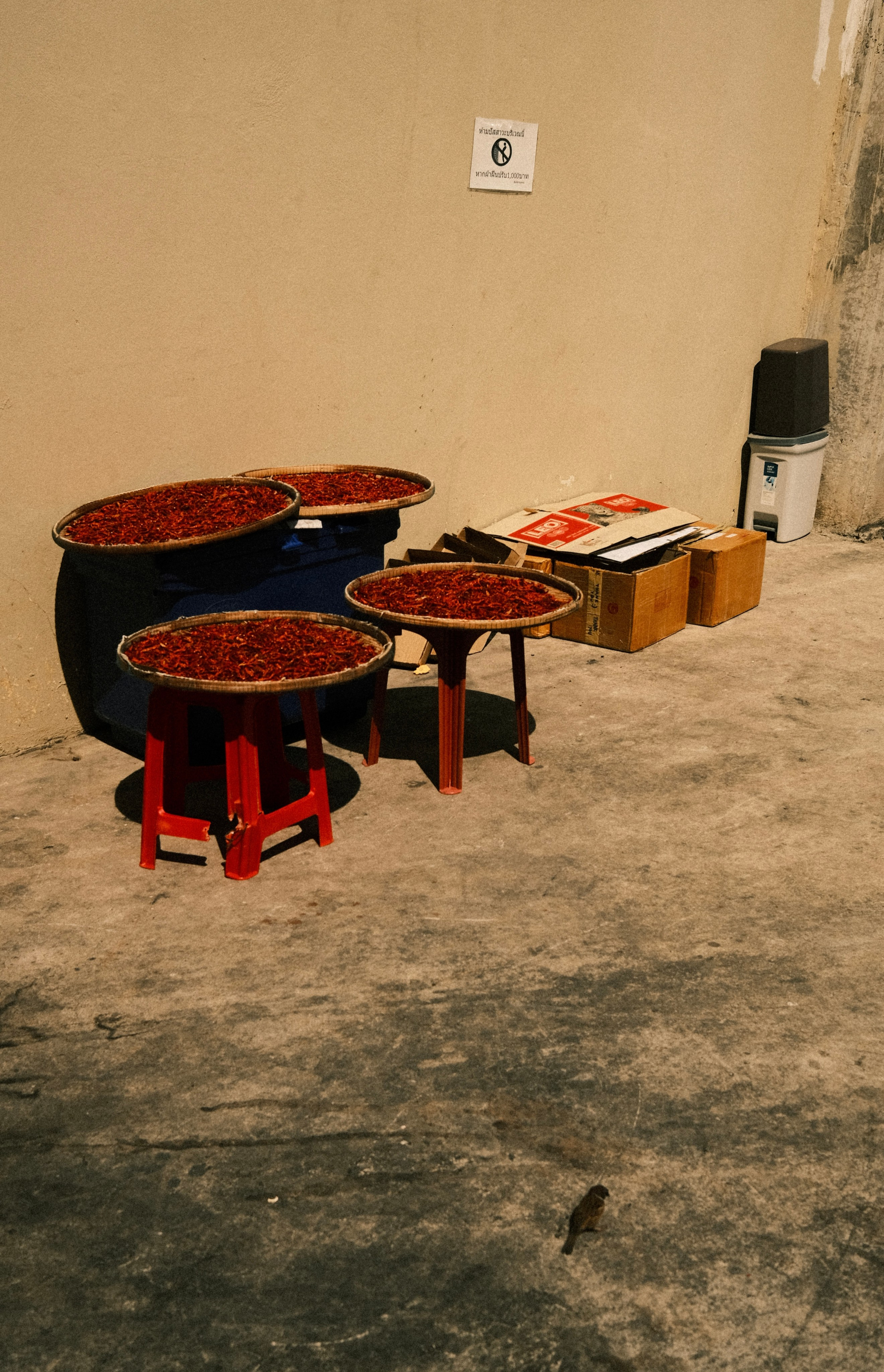 Тайланд. Цветная фурия. Портретный фотограф