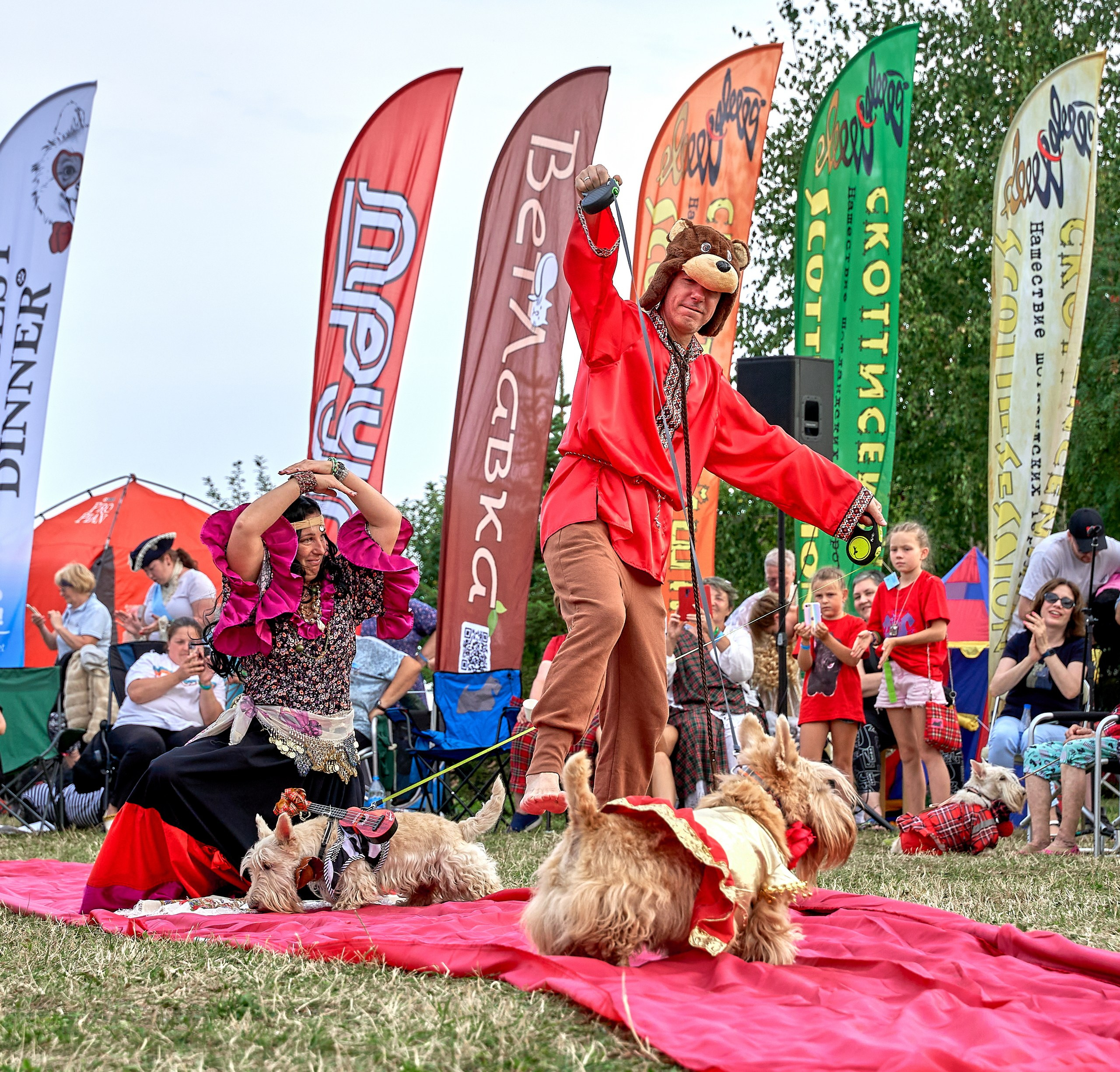 Мероприятия с собаками — галерея NATRIEL