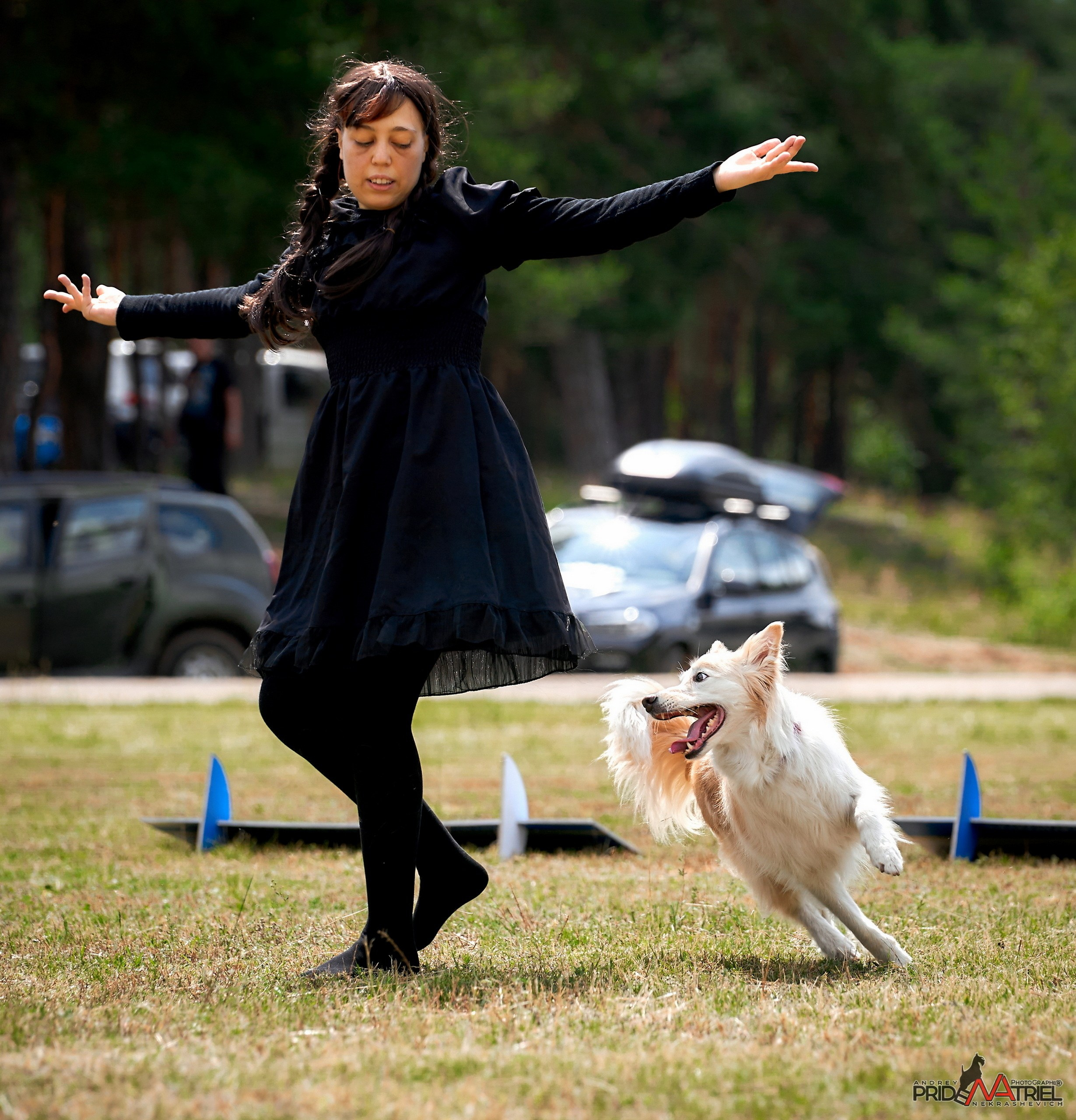 Обидиенс и танцы с собаками — галерея NATRIEL