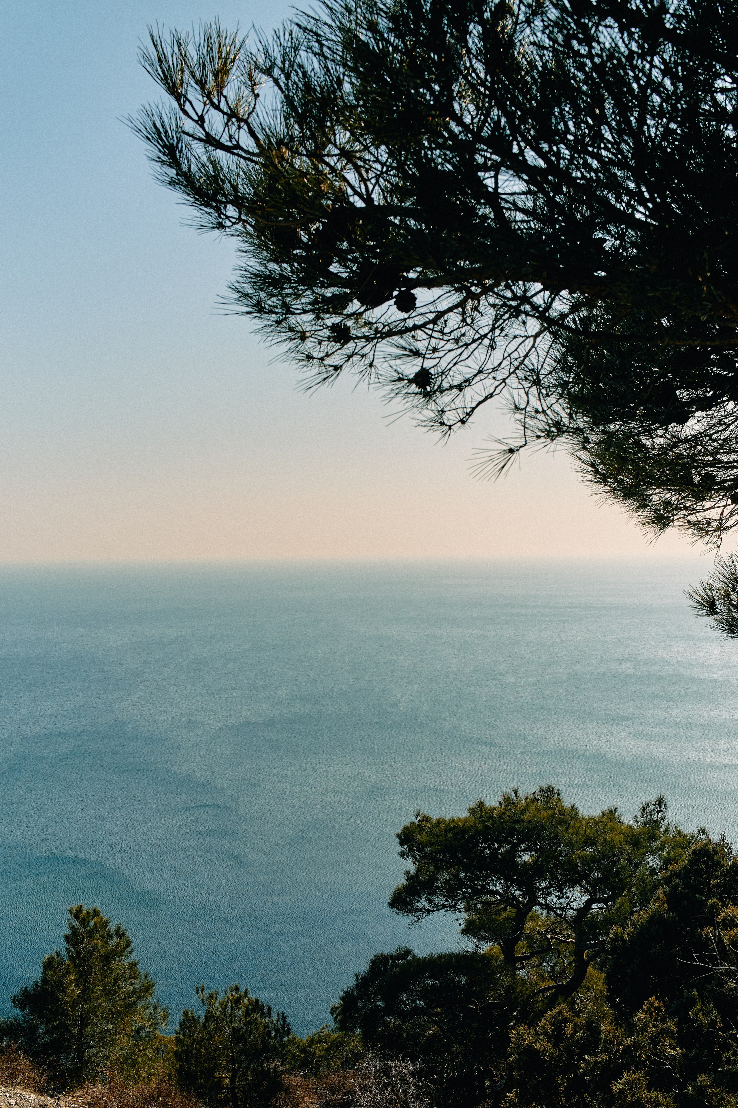Юг России. Профессиональный Фотограф во Владимире, в Москве и в Суздале — Полина Романычева