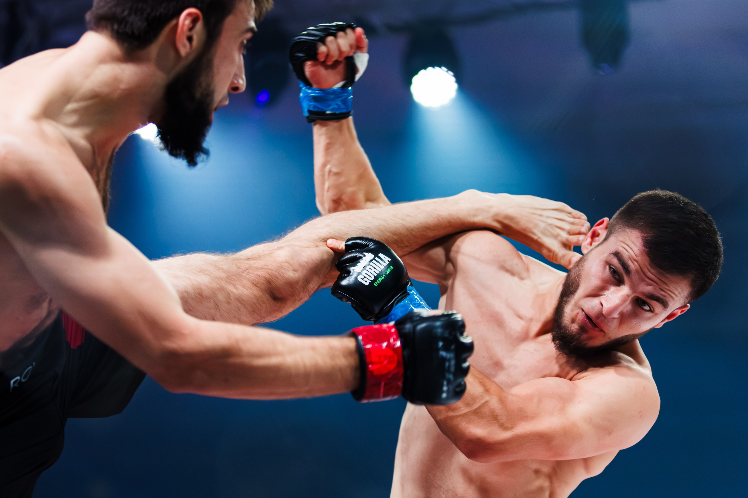 ММА. Спортивный фотограф Денис Веселов в Нижнем Новгороде