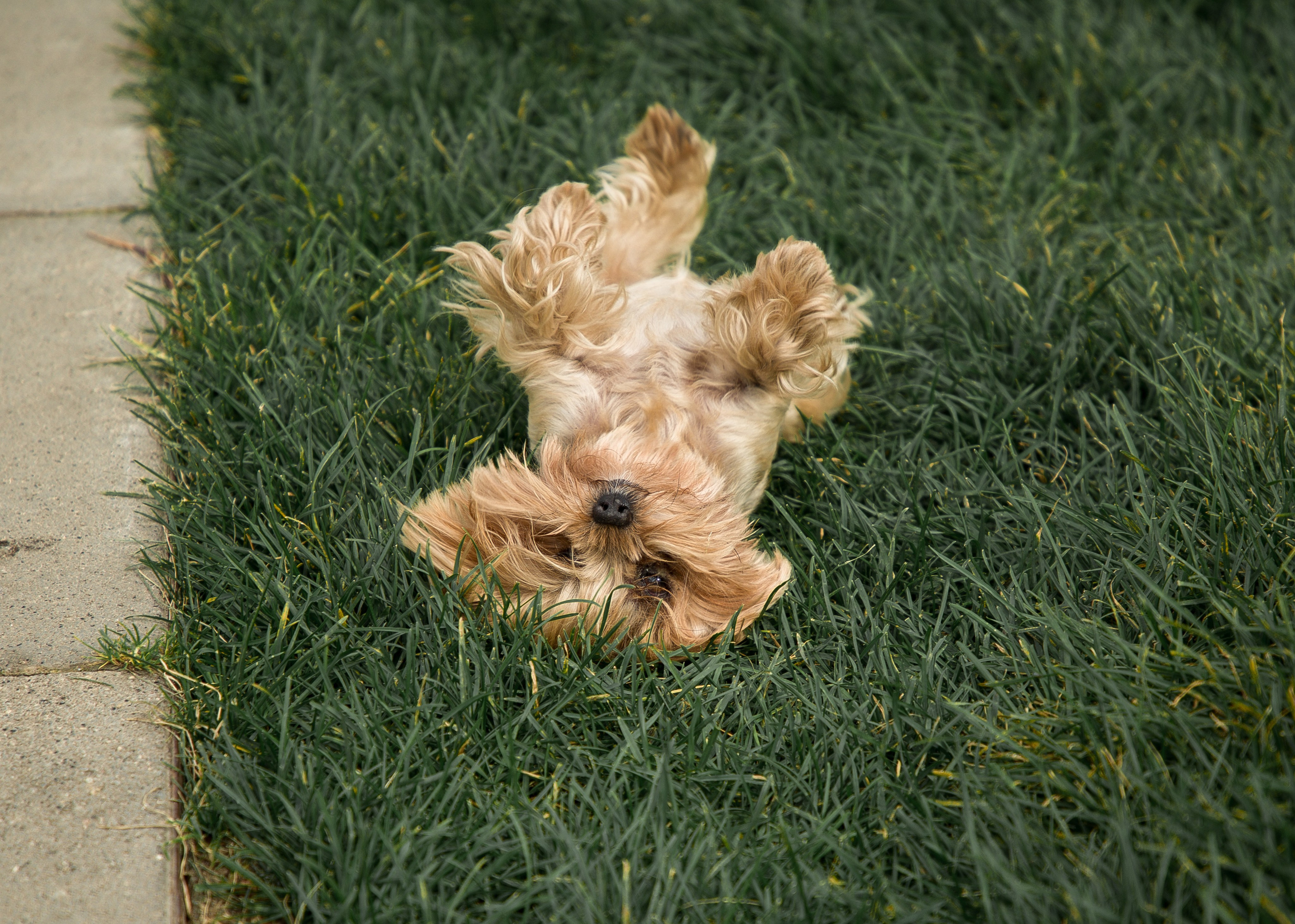 Лена и Тёма. Репортажный фотограф в Москве