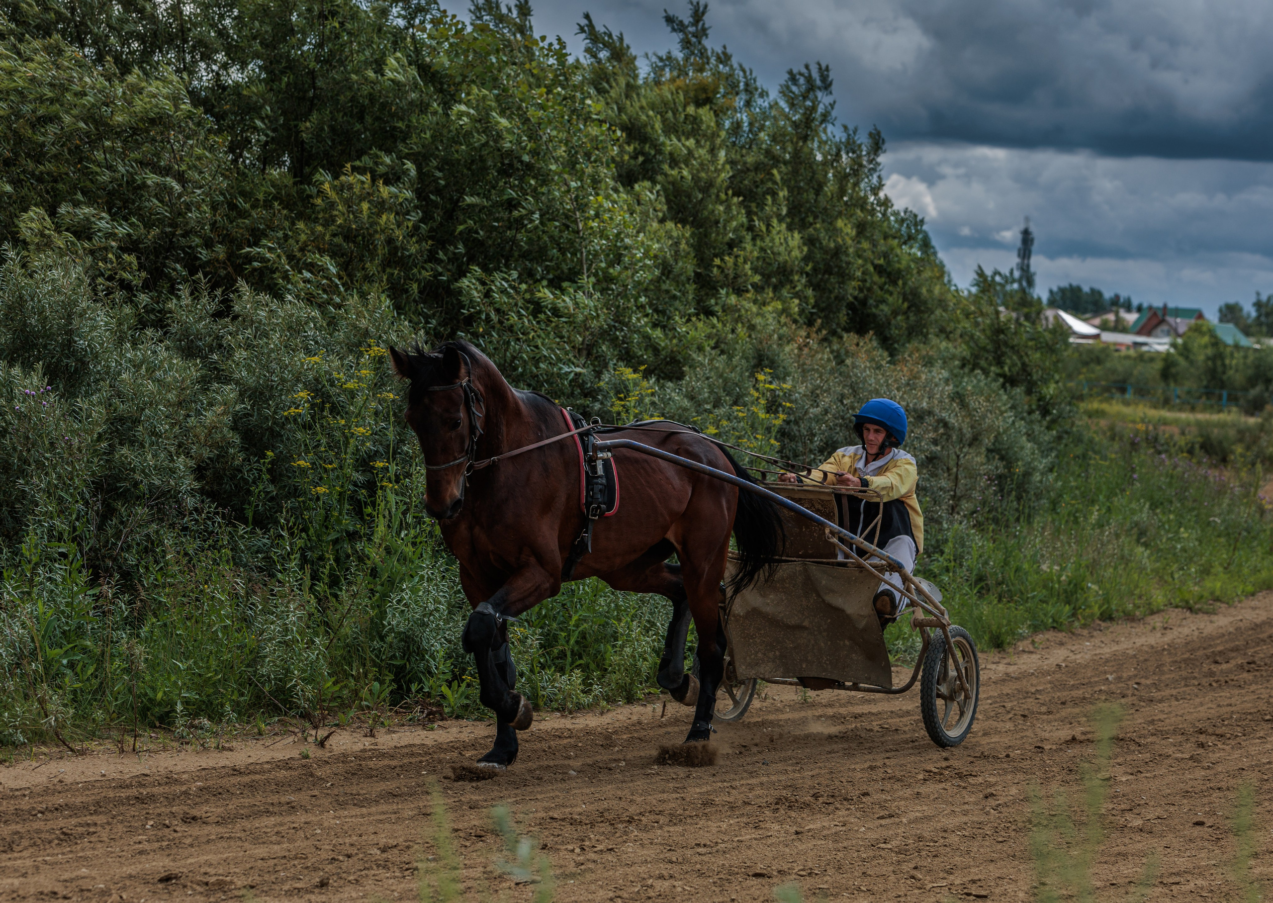 2025. Конный фотограф в Красноярске — Любовь Похабова