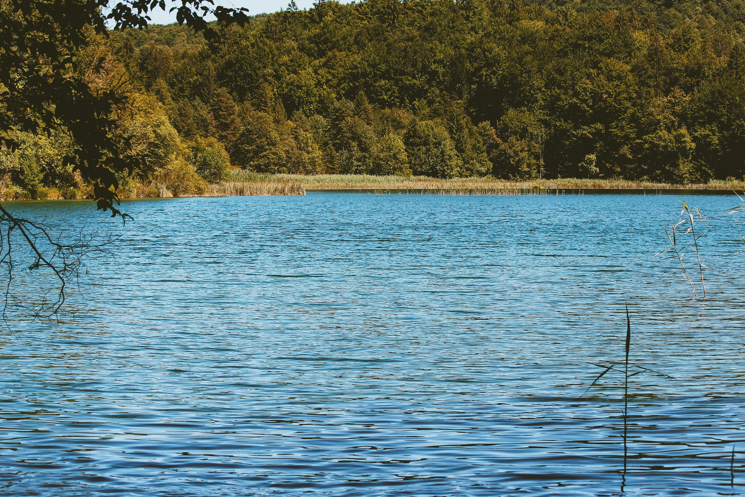 Хорватия: Плитвицкие озера. Дарья Письменюк / Darya Leitstern — фотограф, музыкант, журналист, путешественник