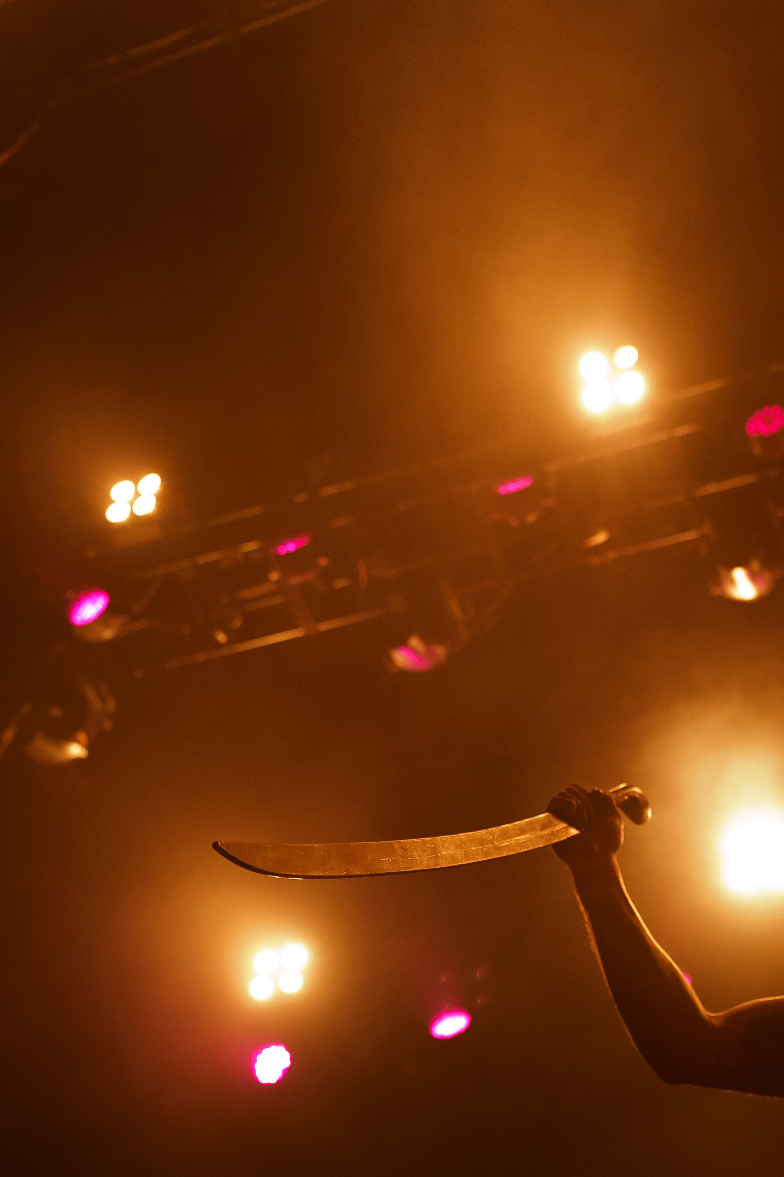 Концерт Bearwolf. Свадебный фотограф в Москве. Диана Грицай