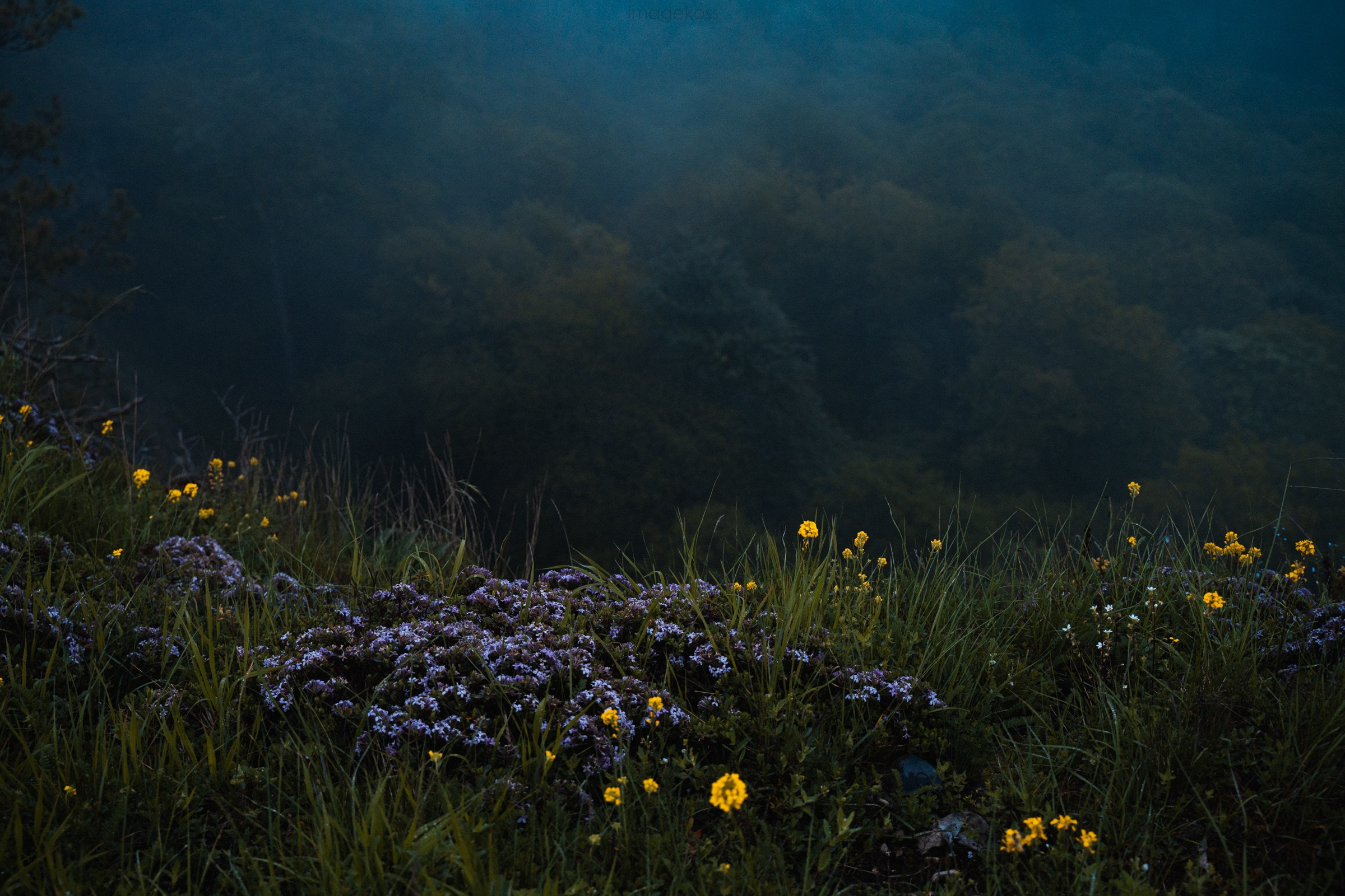 Адыгея. Большой Тхач. Фотограф в поход и восхождение на Эльбрус Игорь Косарев