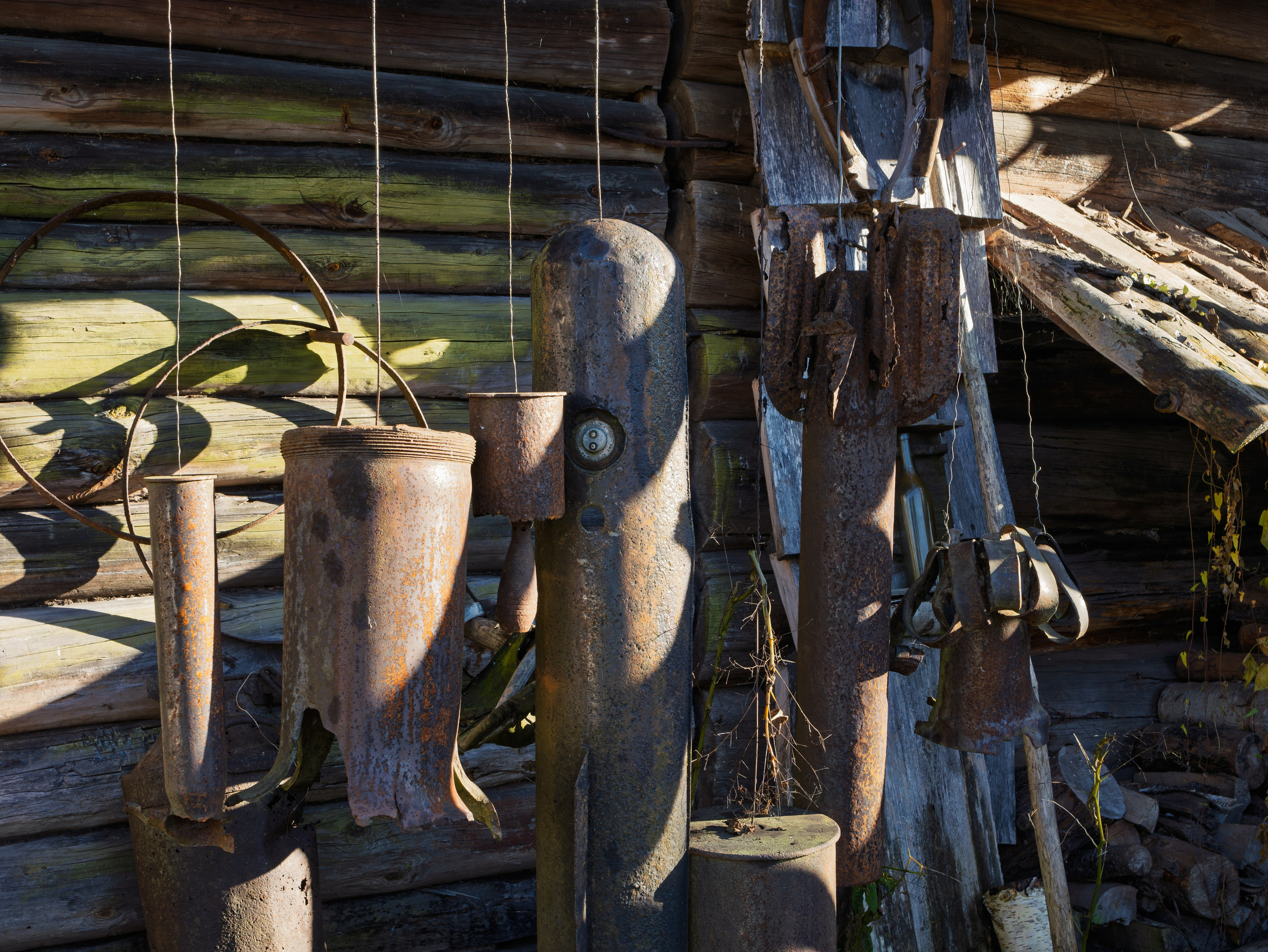 Голубые озера, Псковская область. Октябрь 2024. Фотограф Никифоров-Гордеев Сергей. Москва и МО