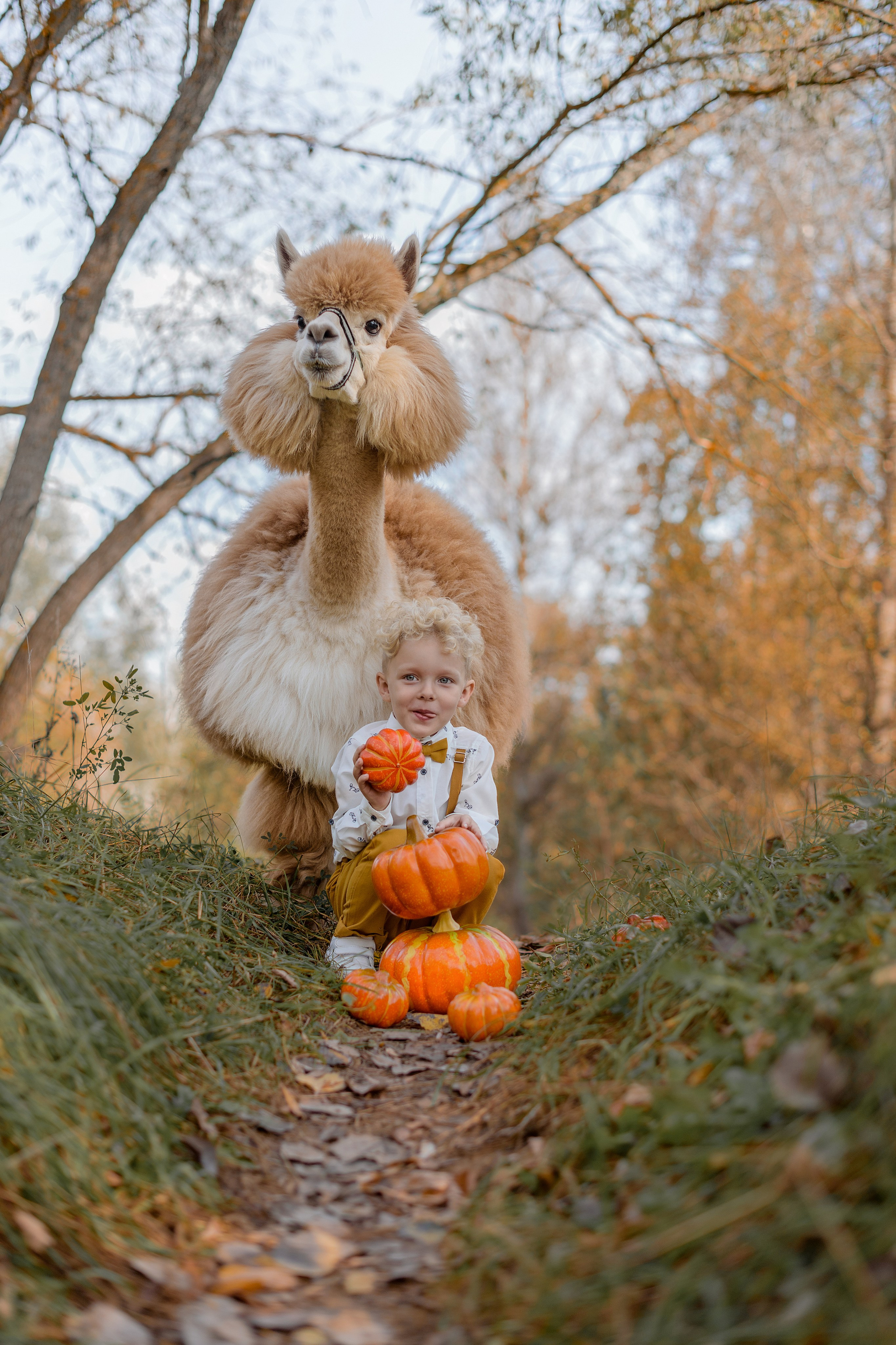 Платон и Мирон. Юлия Лебедева — женский и семейный фотограф в Москве