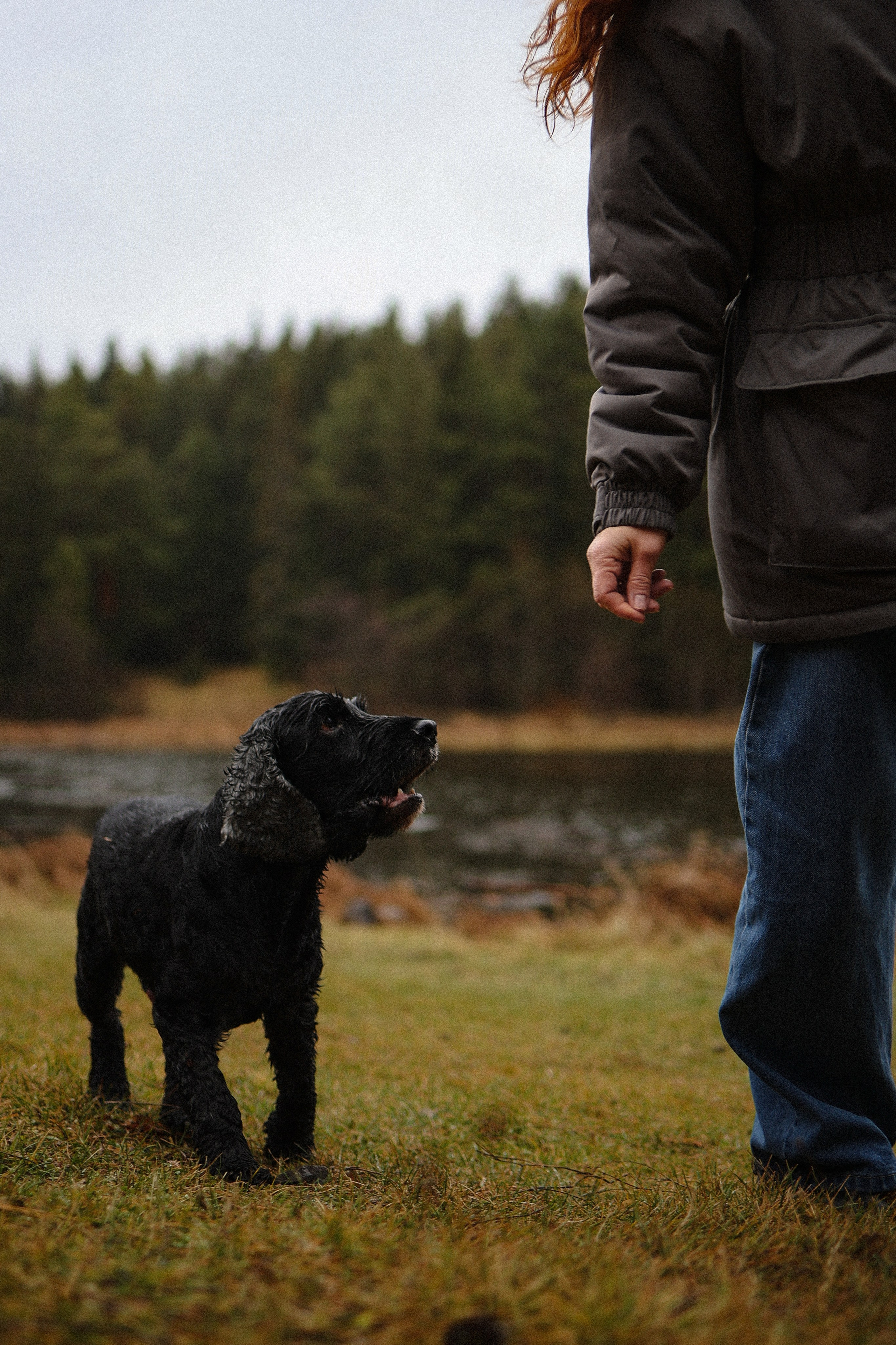 Masha. Главная