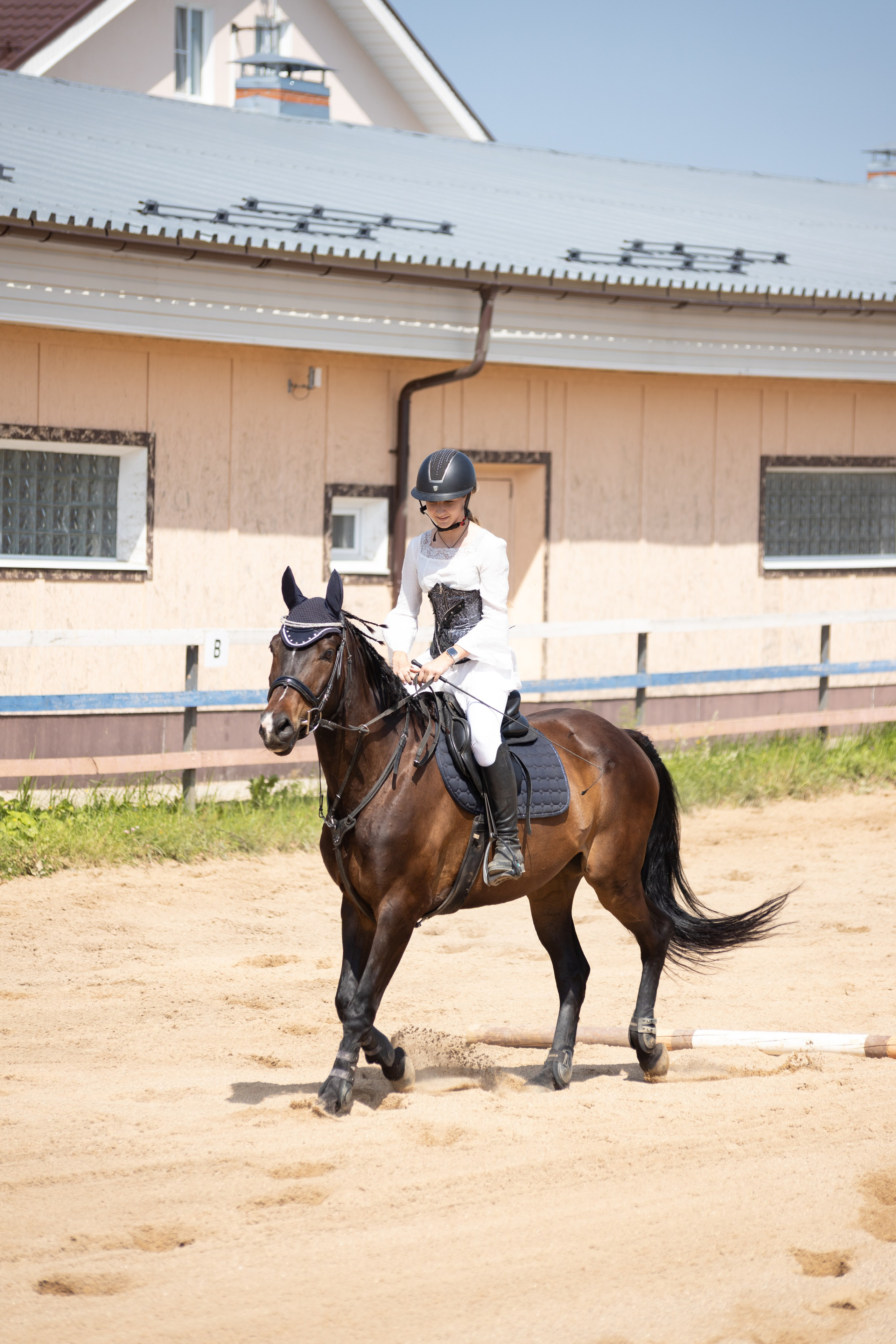 Конюшня. Фотограф в Москве и Истре