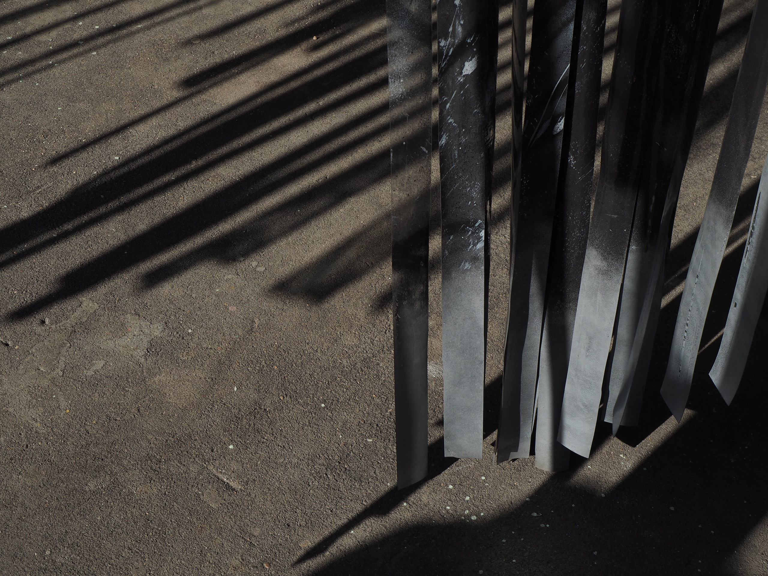 Из сердца лесополосы. Настя Арзуманова, фотограф