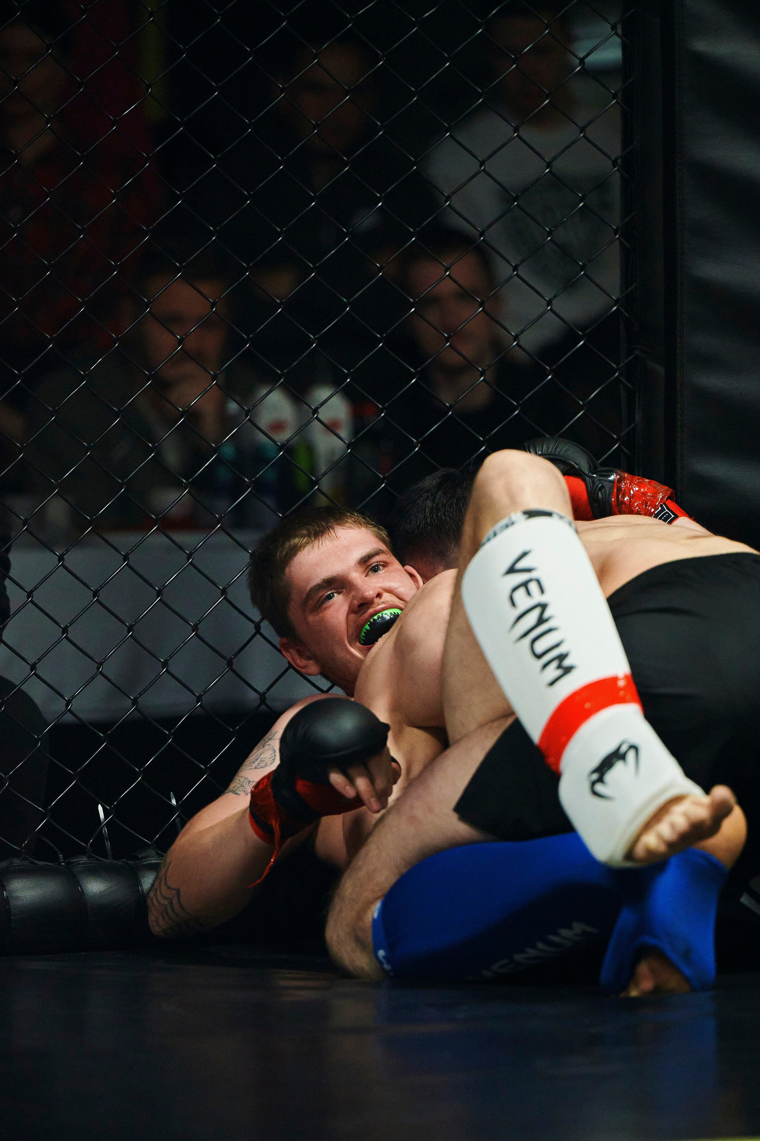 Единоборства. Главная