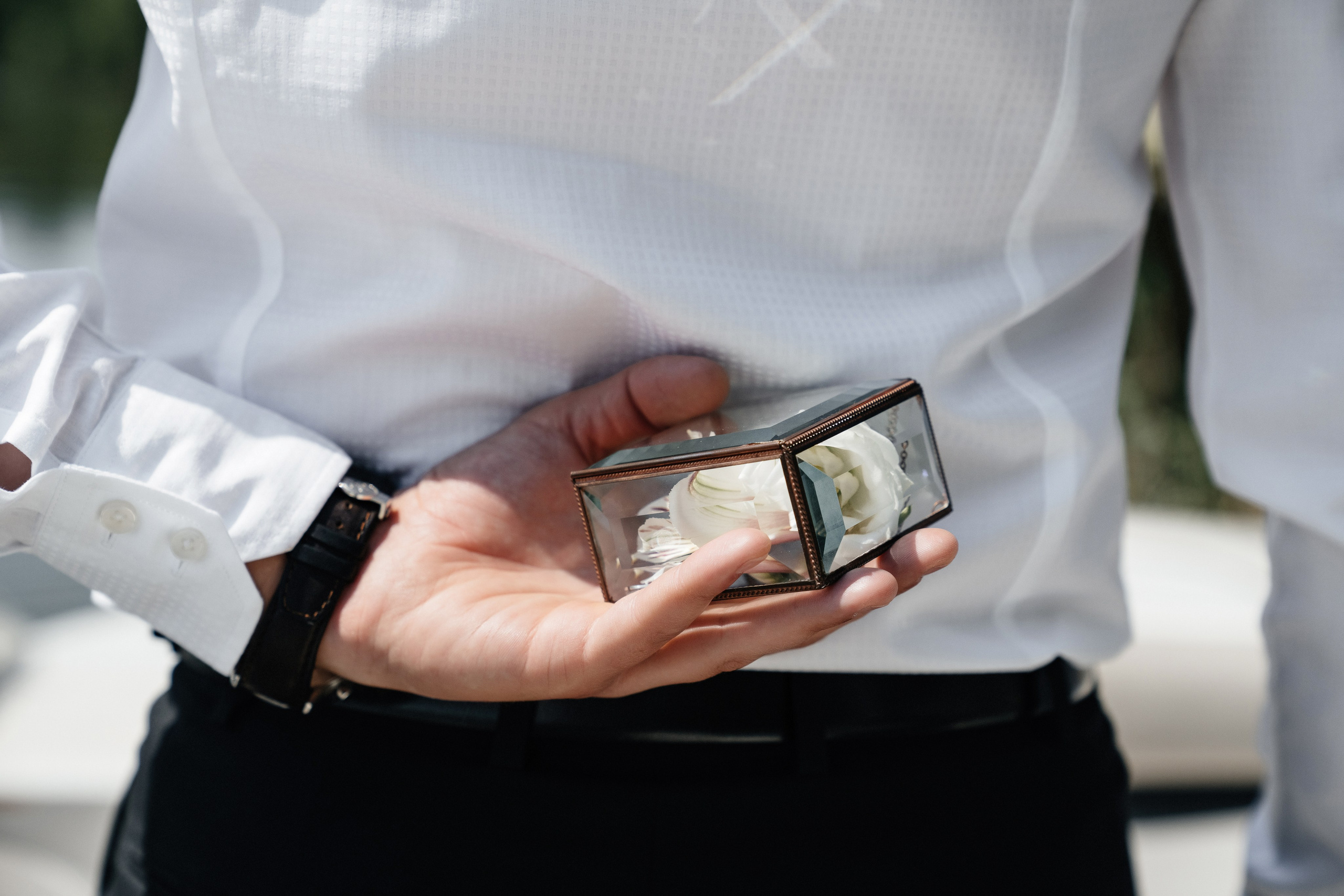 Владимир и Анна. Свадебный фотограф Александр Воронов — Белгород, Воронеж, Москва