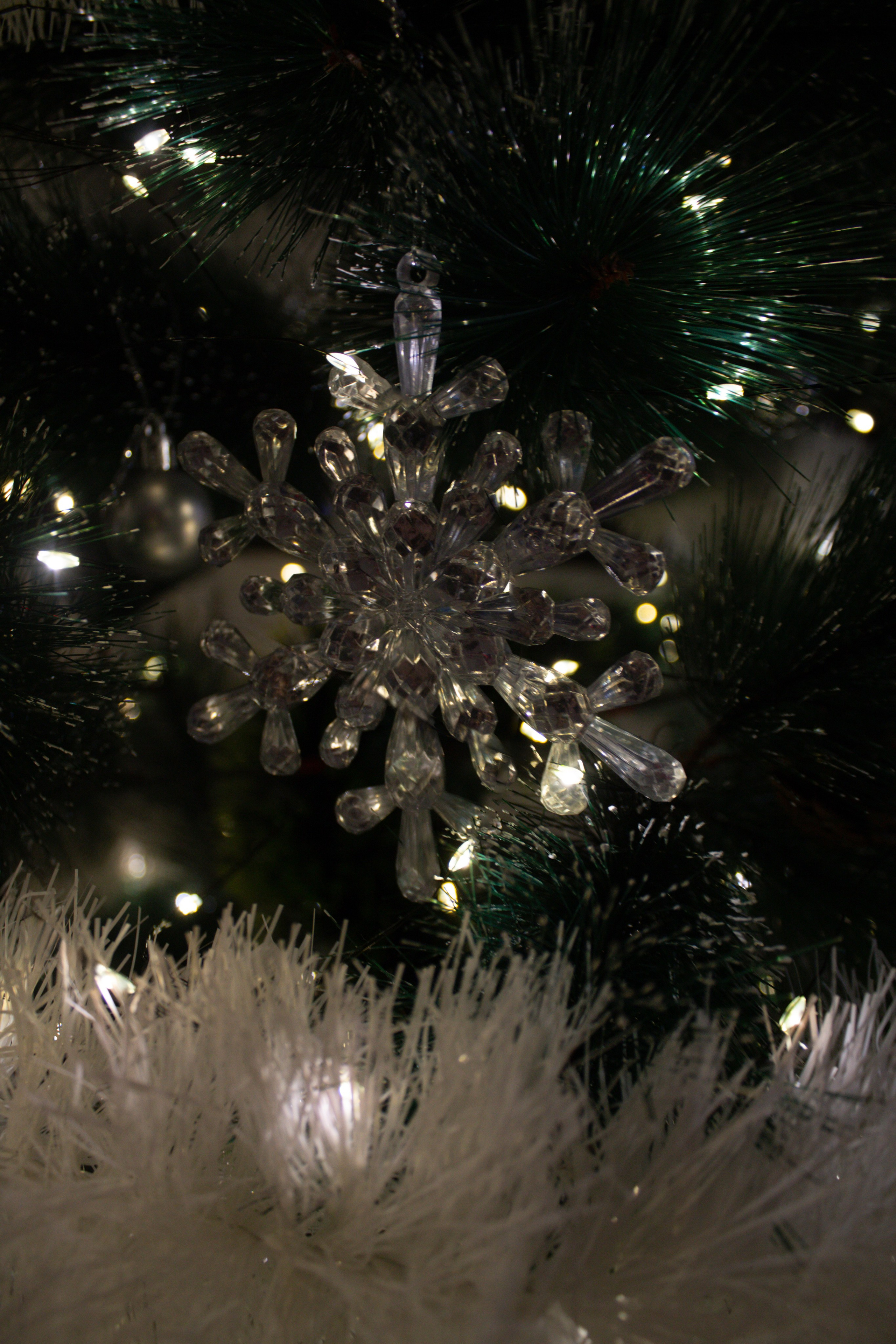 Семейная фотосессия. Свадебный и семейный фотограф Бологое Тверь — Ninel