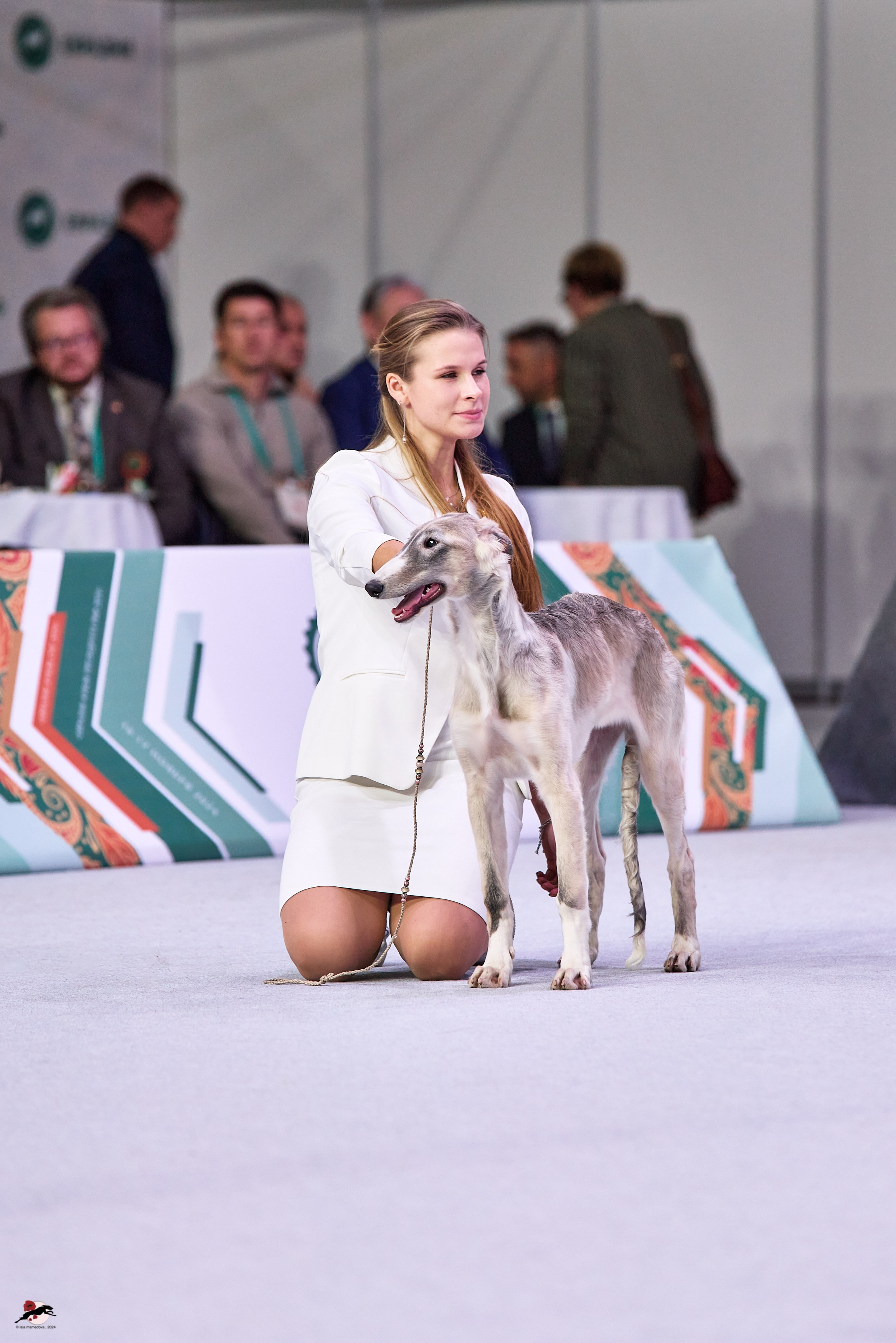 17.11.2024 «ЕВРАЗИЯ. КУБОК СНГ 2024»