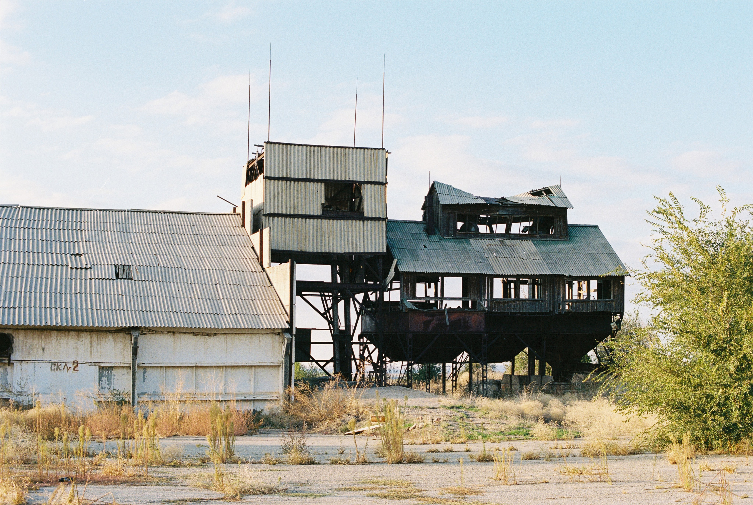 Алтын эмель/Или/Курты, плёнка 2025. Фотограф в Алматы — Алексей Коньков | Репортаж, свадьбы, портреты