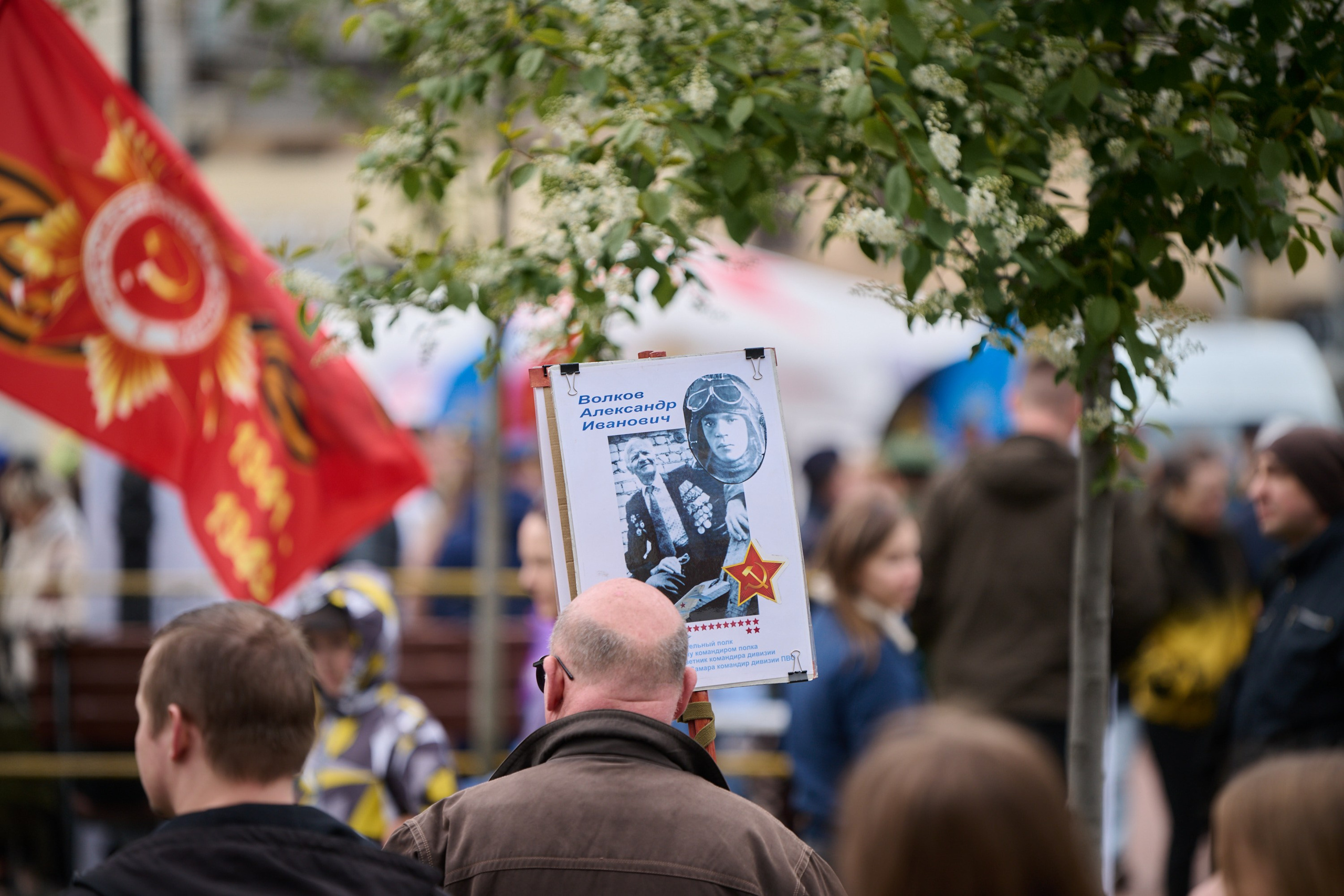 Празднование 9 мая в Иваново. Фотограф в Иваново: Каталожная съемка одежды и постельного белья, Wildberries