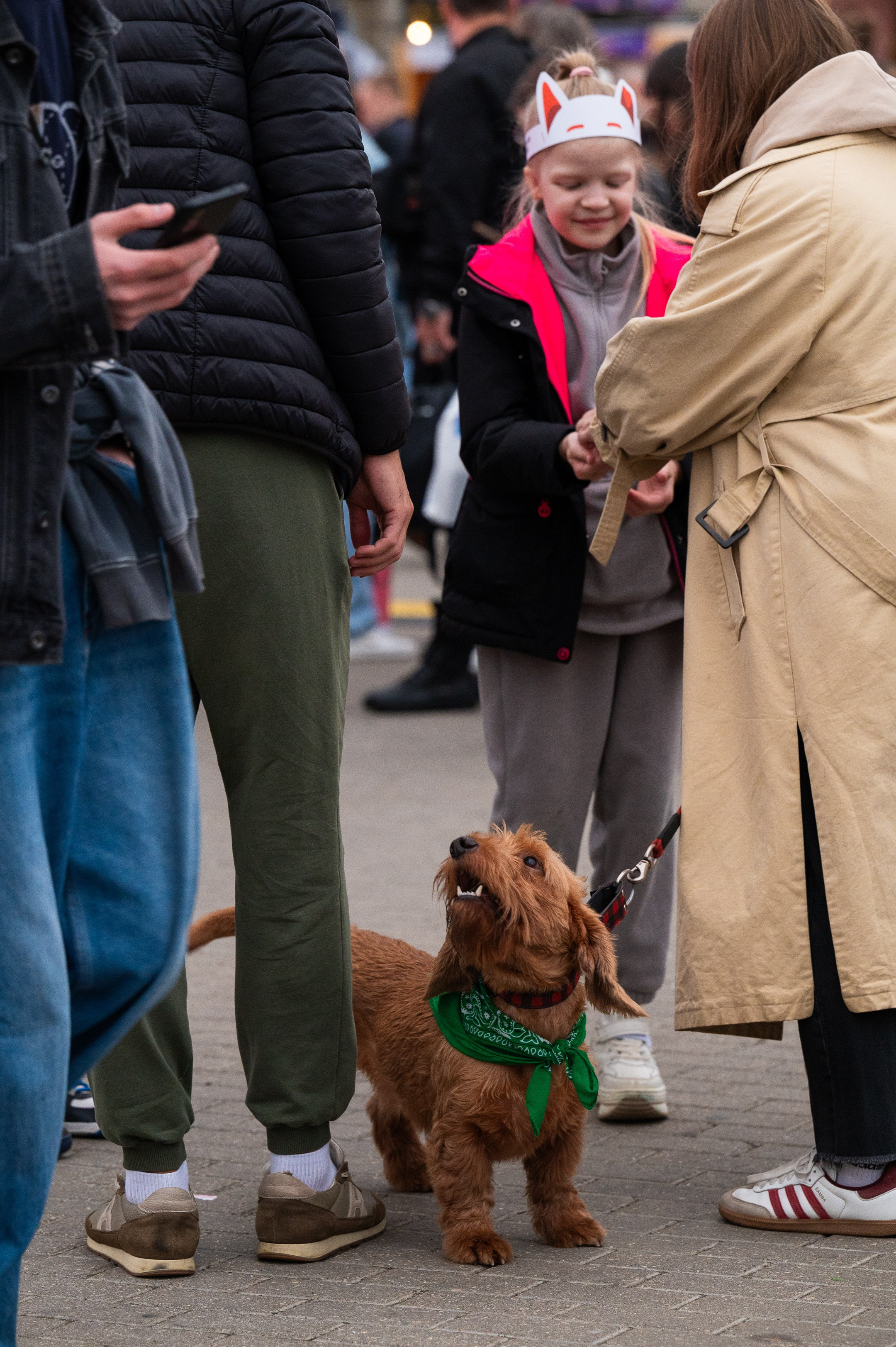 4lapy fest 2025. Photographer in Moscow Anna Chistiakova