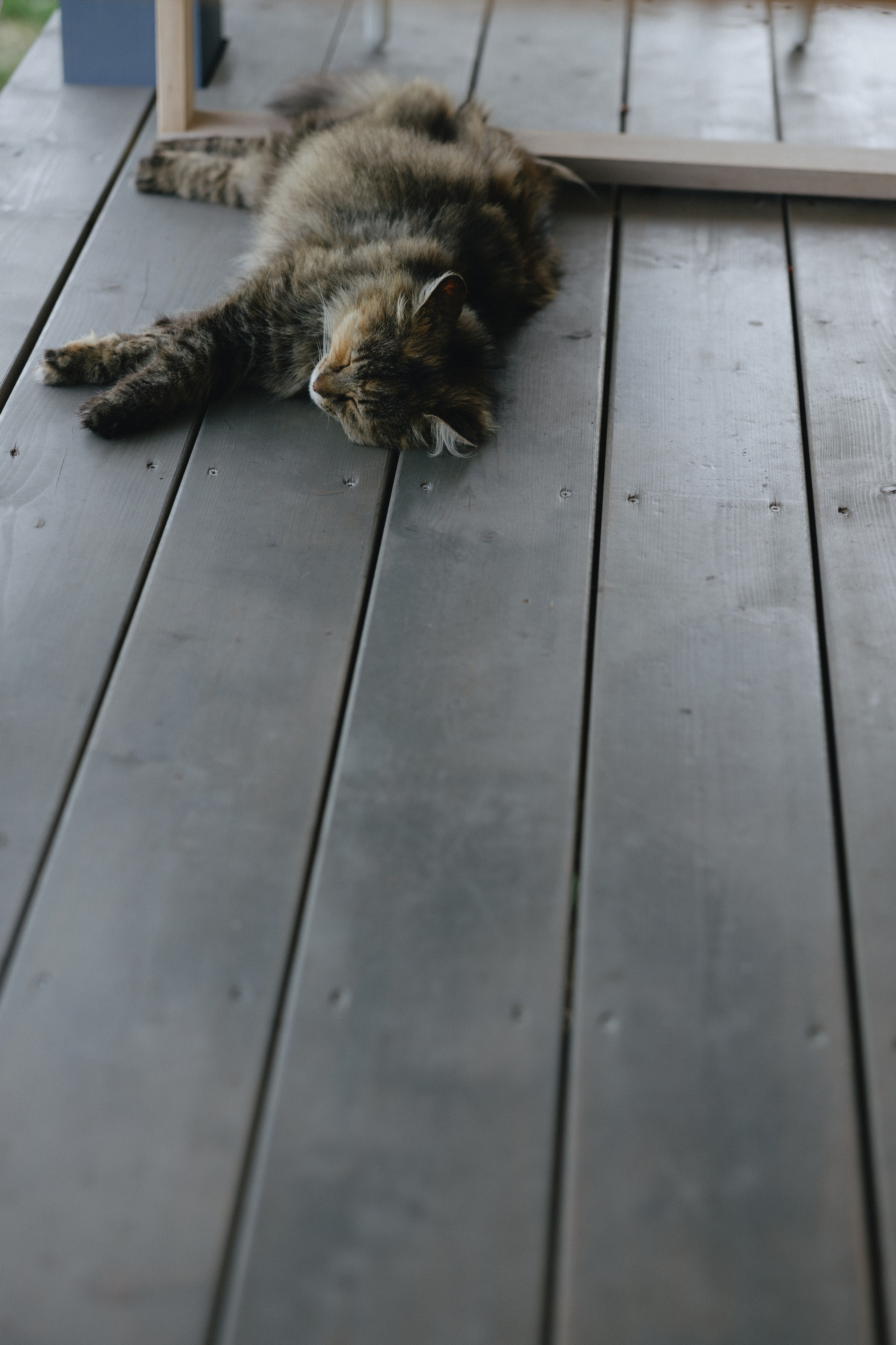 Эко вечеринка / 2025. Фотограф СПб