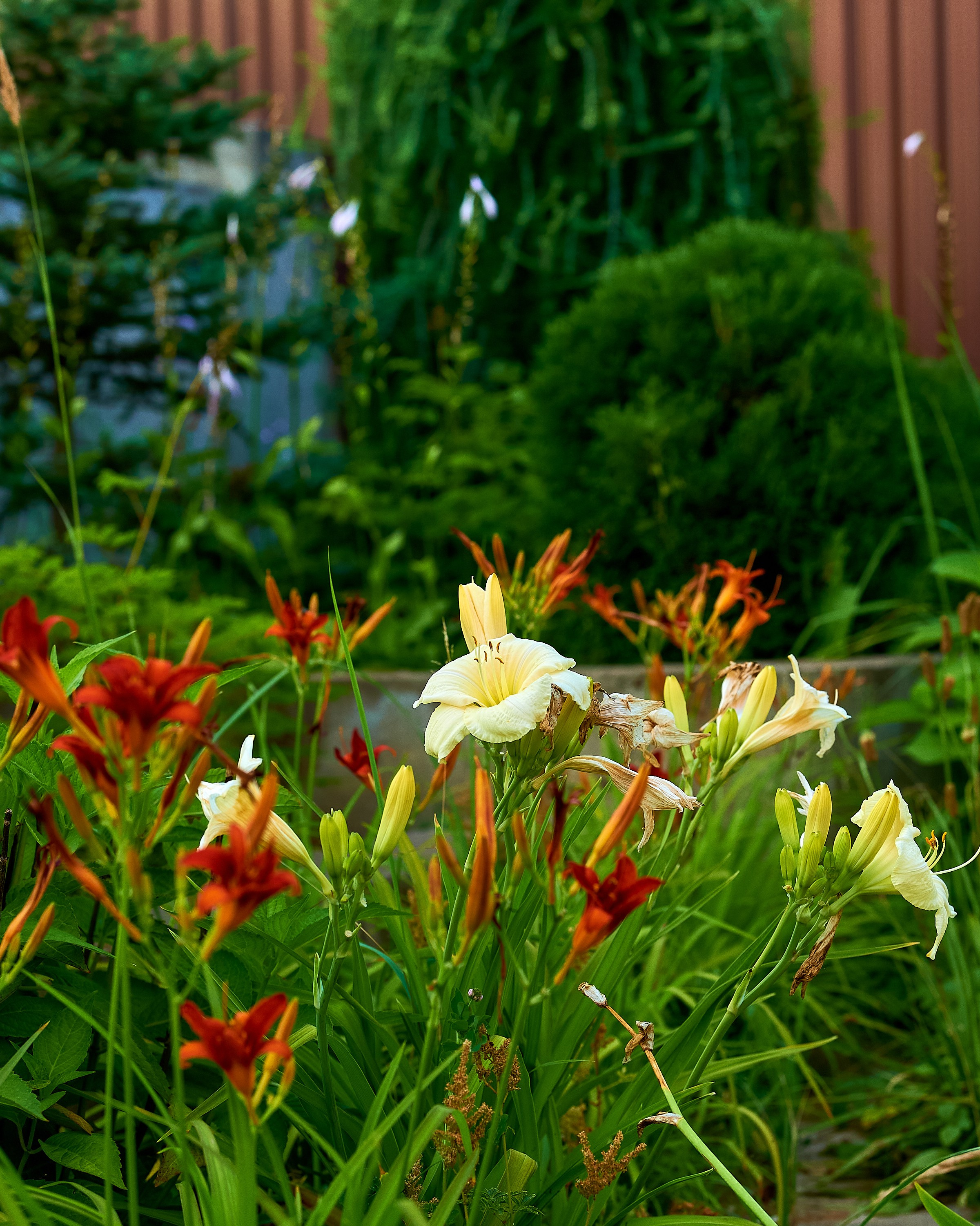 Фотосъёмка ландшафтных рабт