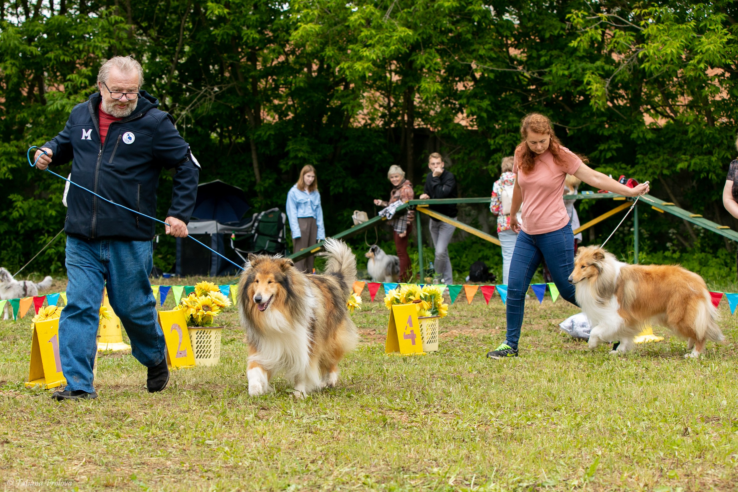 Фотосопровождение выставки собак в Московской области и Москве. Фотограф-анималист в Москве и Московской области Татьяна Фролова