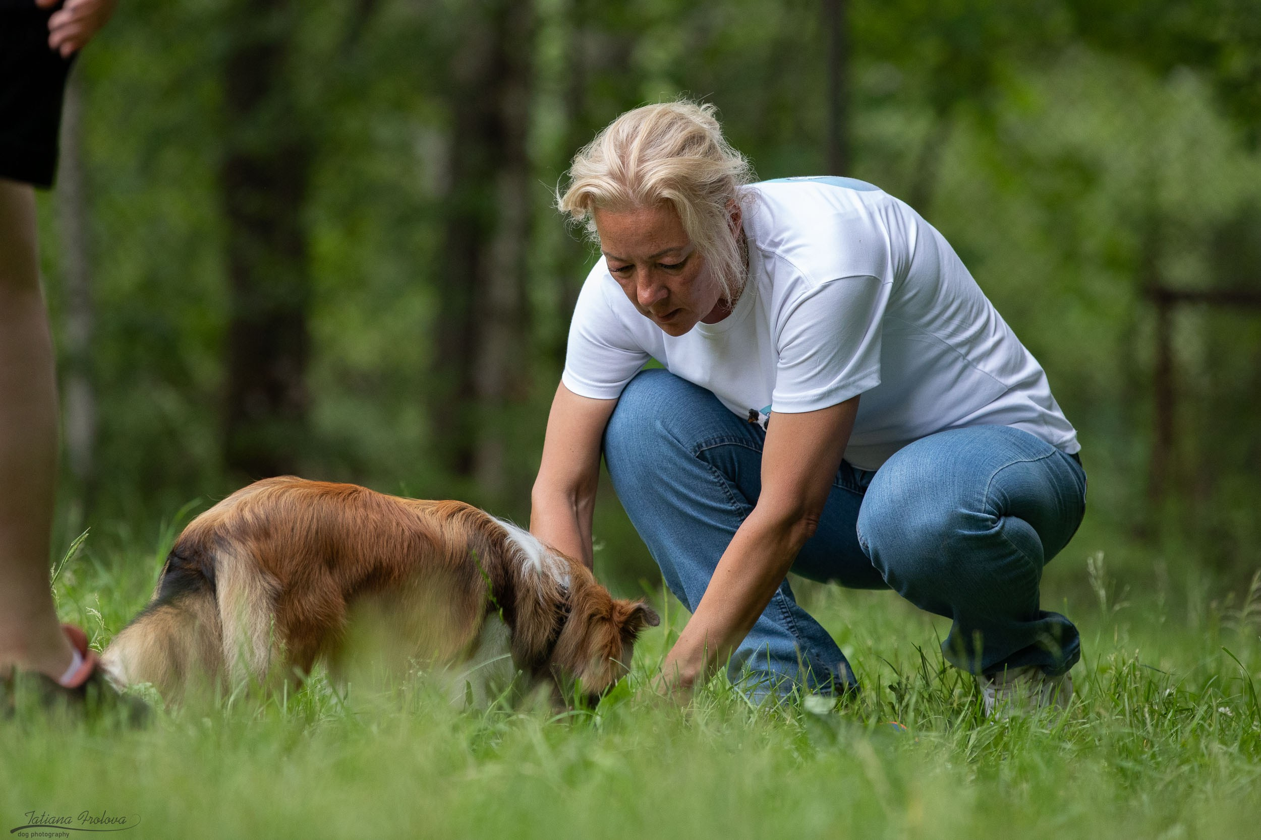 Репортаж с выводки молодняка колли/шелти в Ясенево. Фотограф-анималист в Москве и Московской области Татьяна Фролова