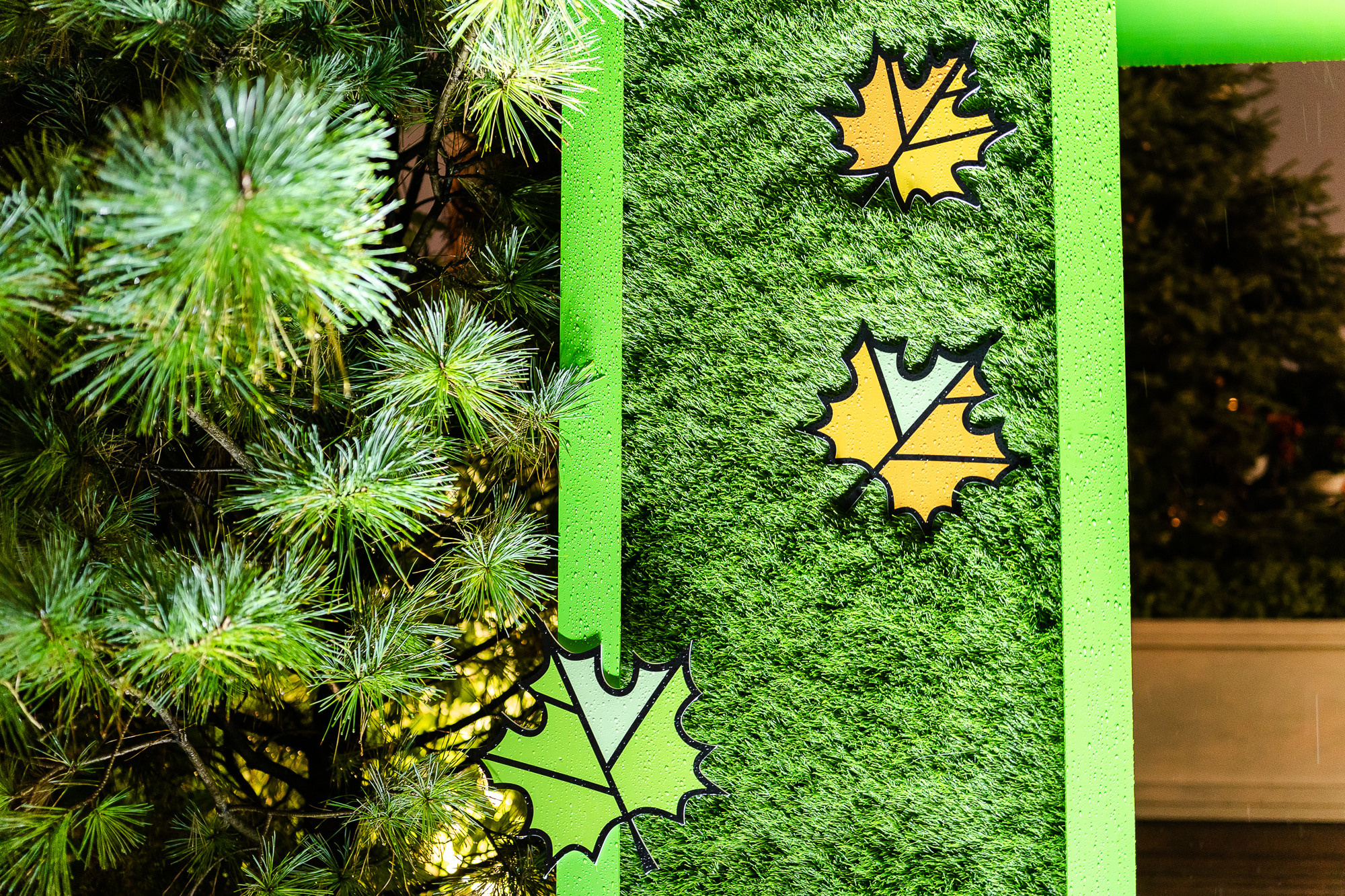 5Х Retail Group. Свадебный фотограф Москва