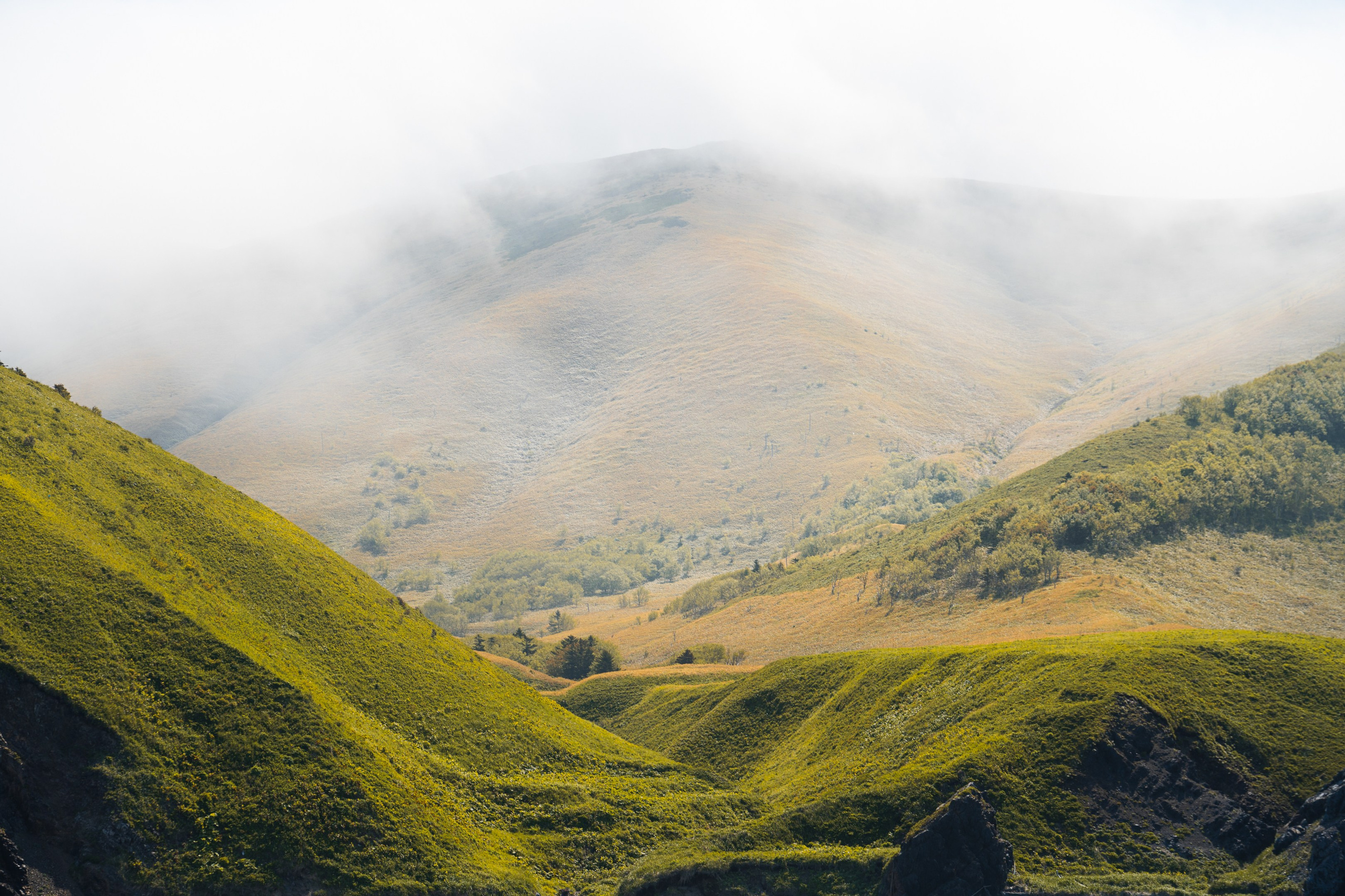 游览阿尼瓦灯塔. Ivan Zaitsev (IZIART) — 通过照片和视频创建文化代码