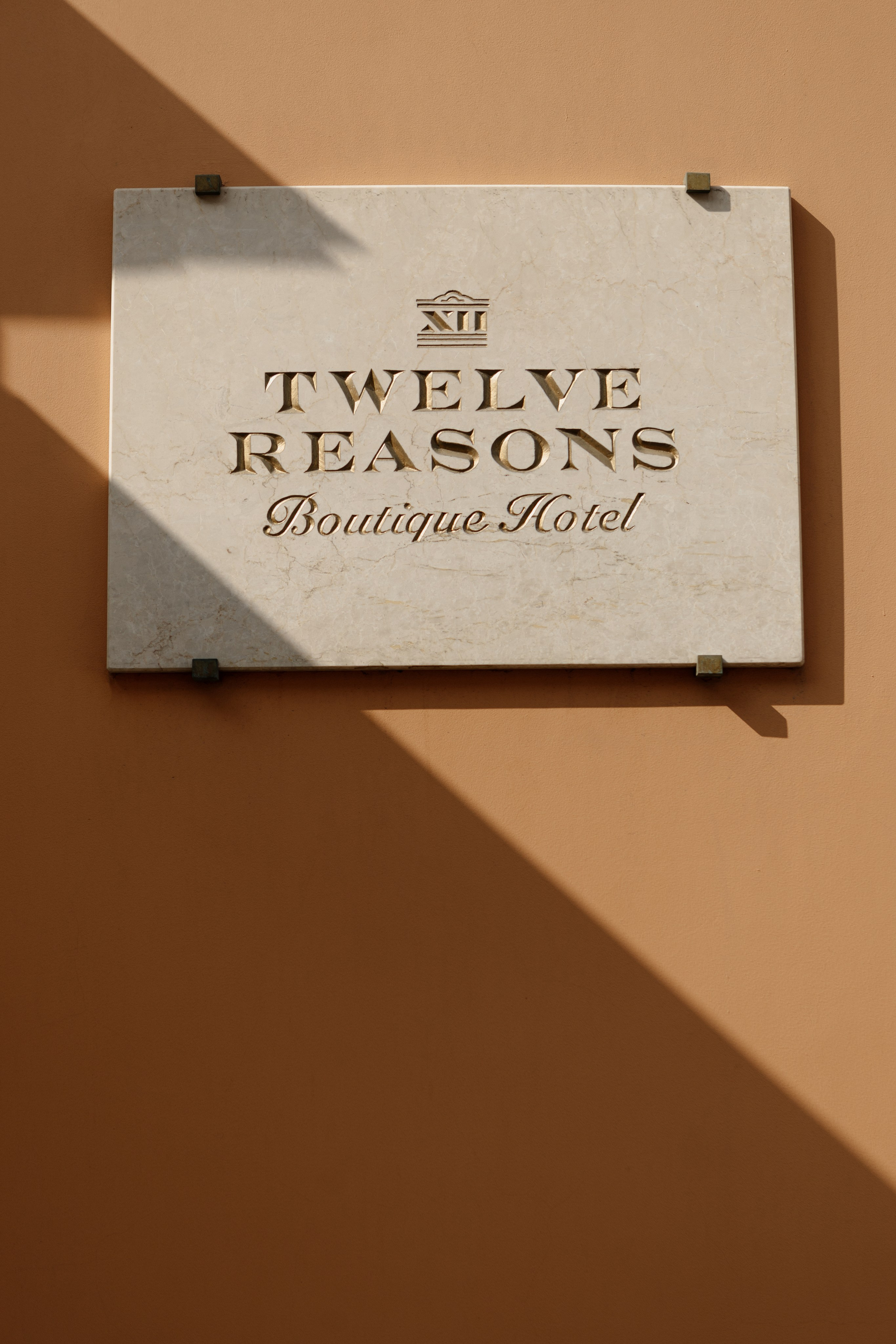 Свадьба Антона и Виктории. Фотограф Кольчугино/Владимир/Москва Елизавета Иода