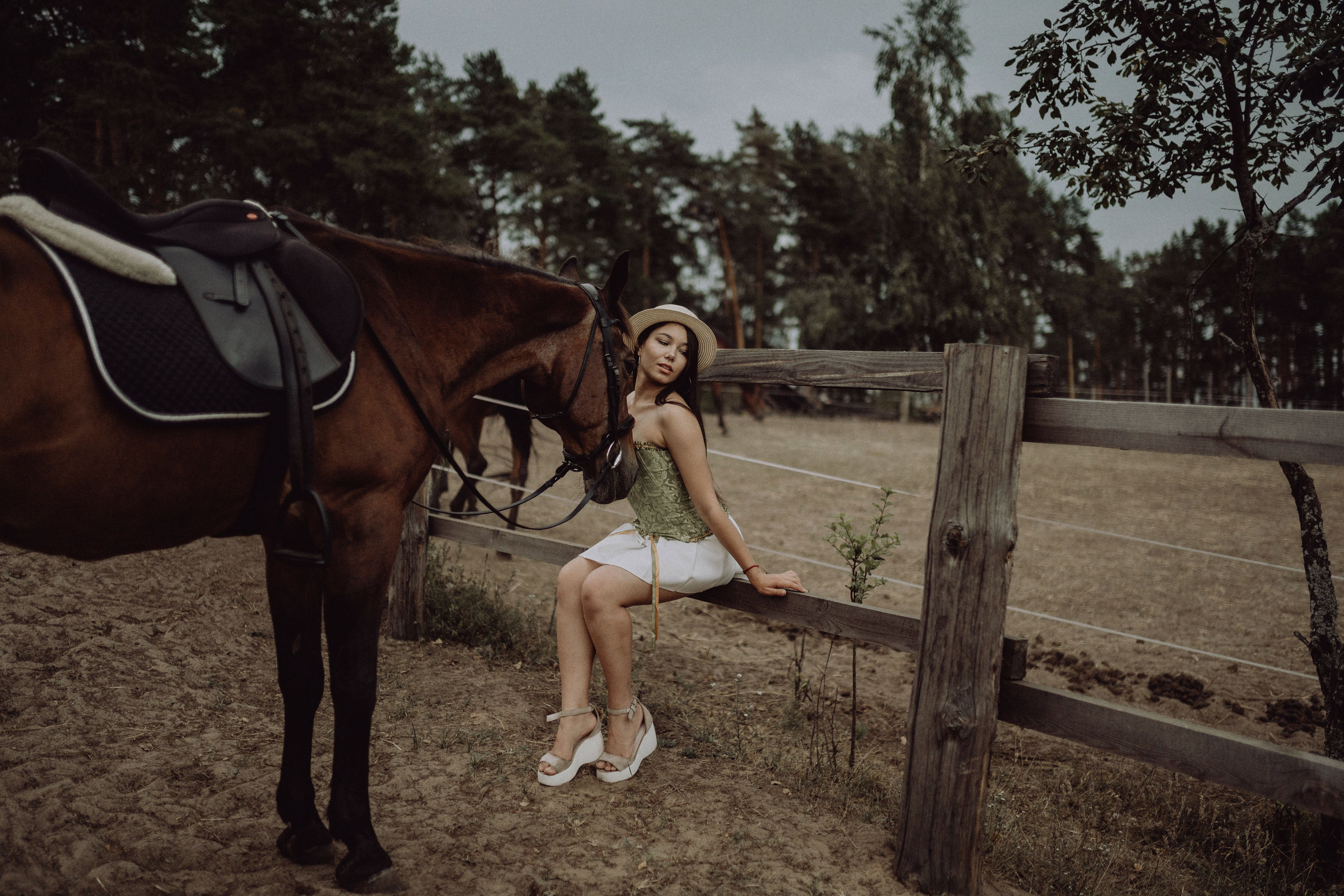 Конная прогулка. Фотограф Алексей Кутырёв